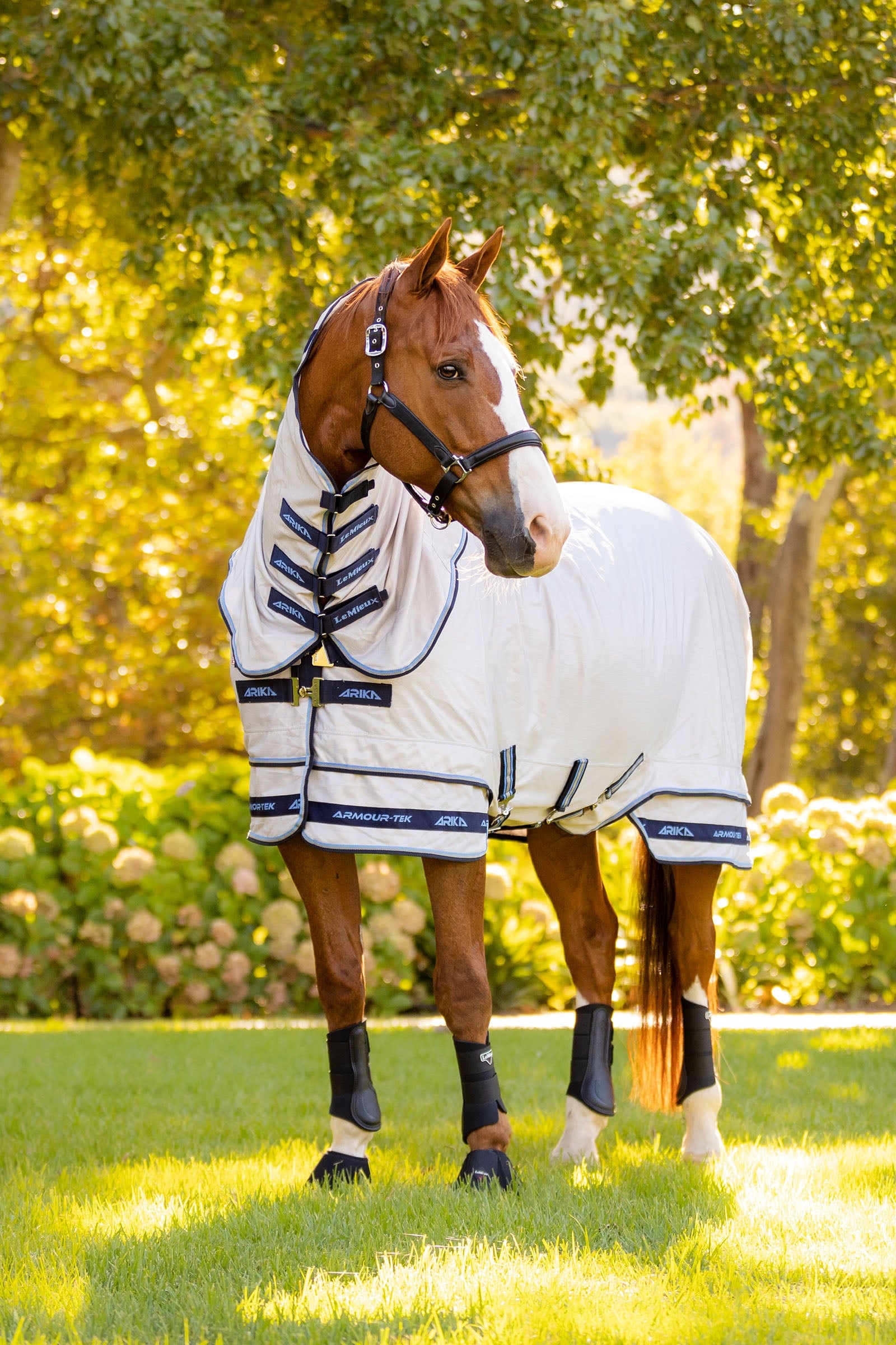 LeMieux Arika Armour-Tek Fly Rug With Detachable Neck Horse Rugs