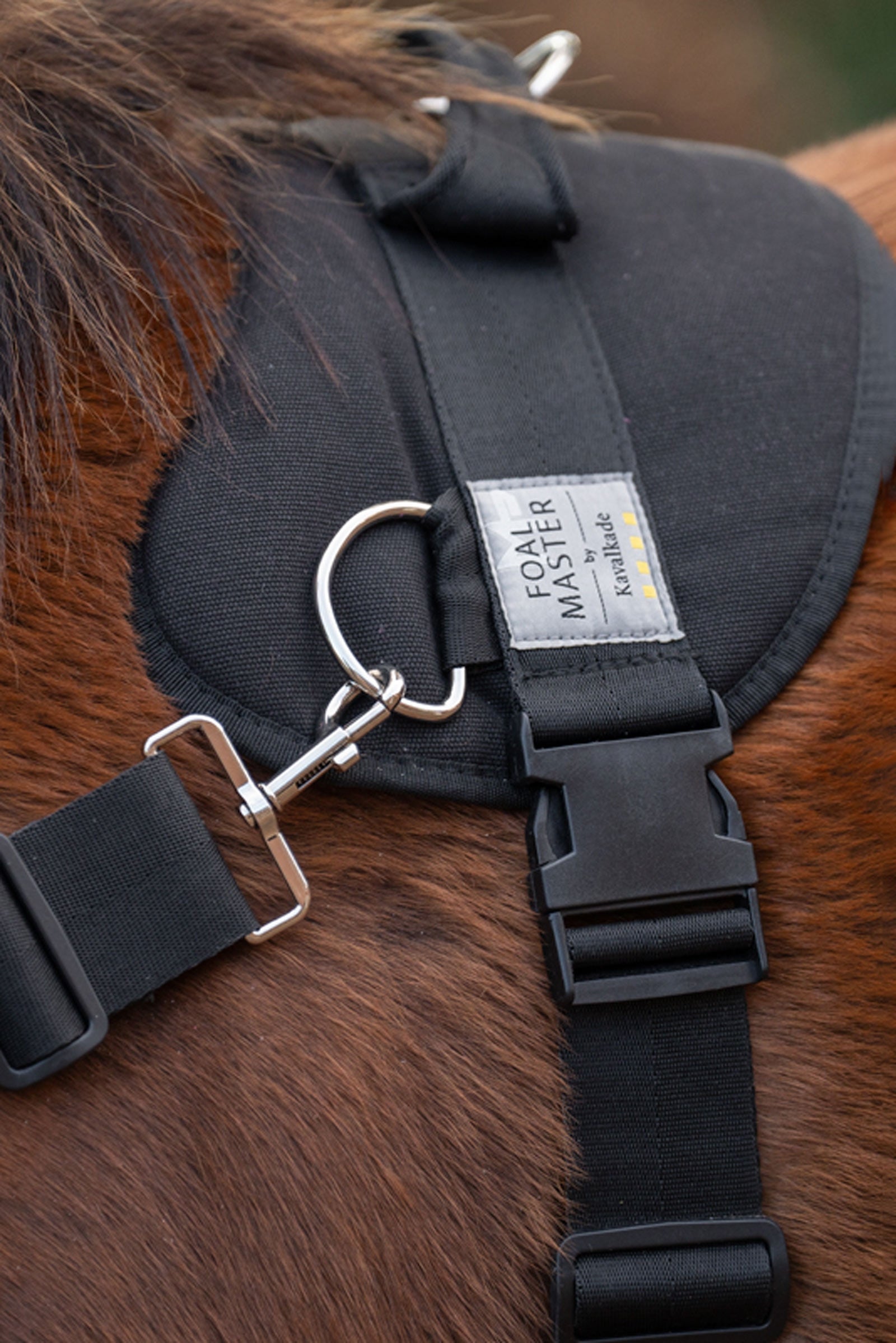 Kavalkade Foalmaster Foal Harness With Handle Pony & Shetland Tac