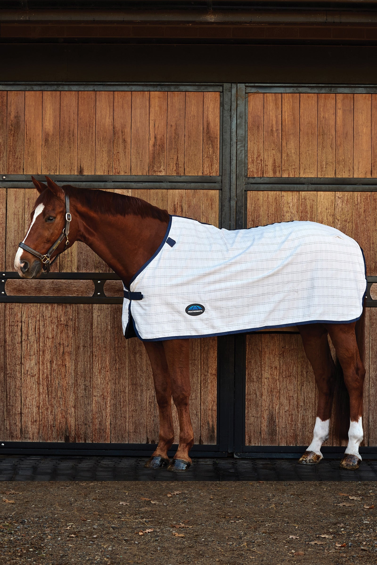Weatherbeeta ComFiTec Cotton-Liner Pferdedecken