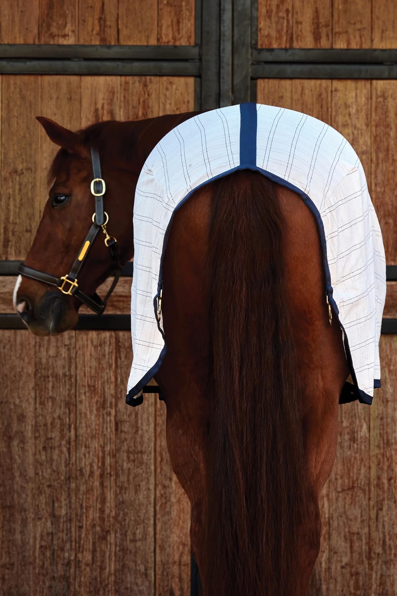 Weatherbeeta ComFiTec Cotton-Liner Horse Rugs