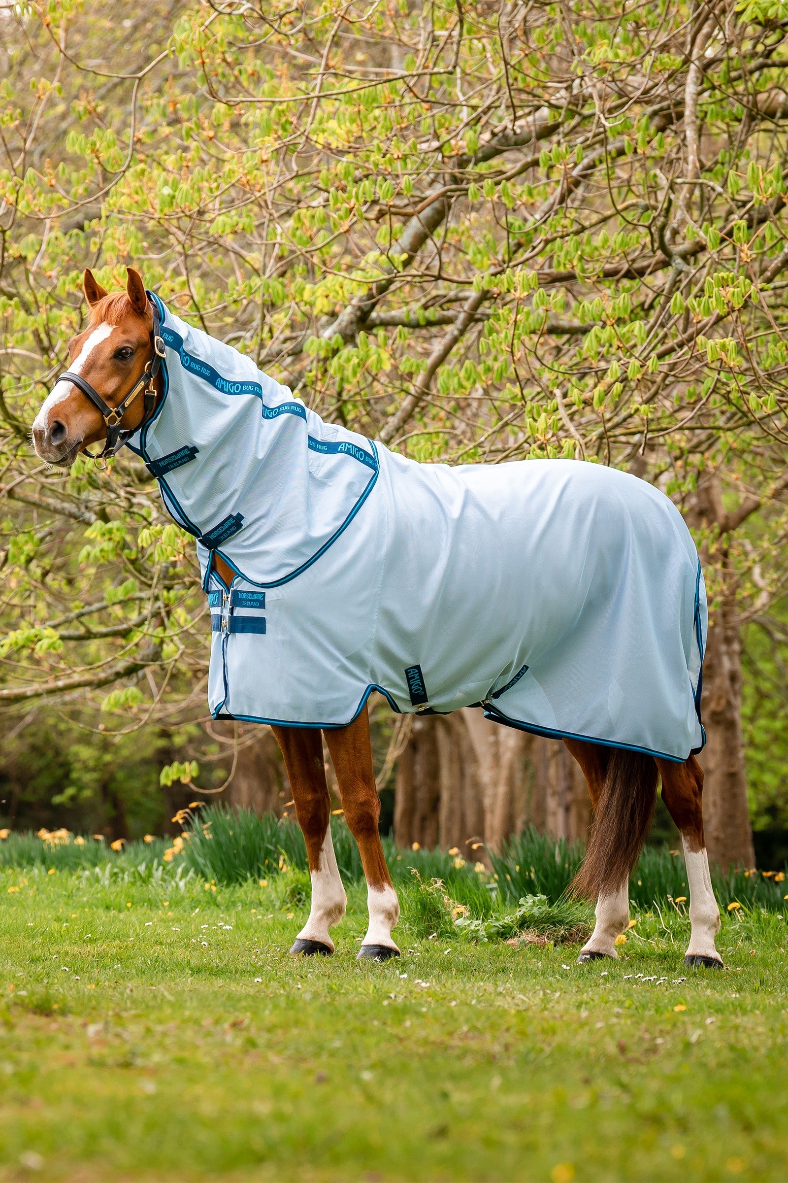 Horseware Amigo Fliegendecke Pferdedecken