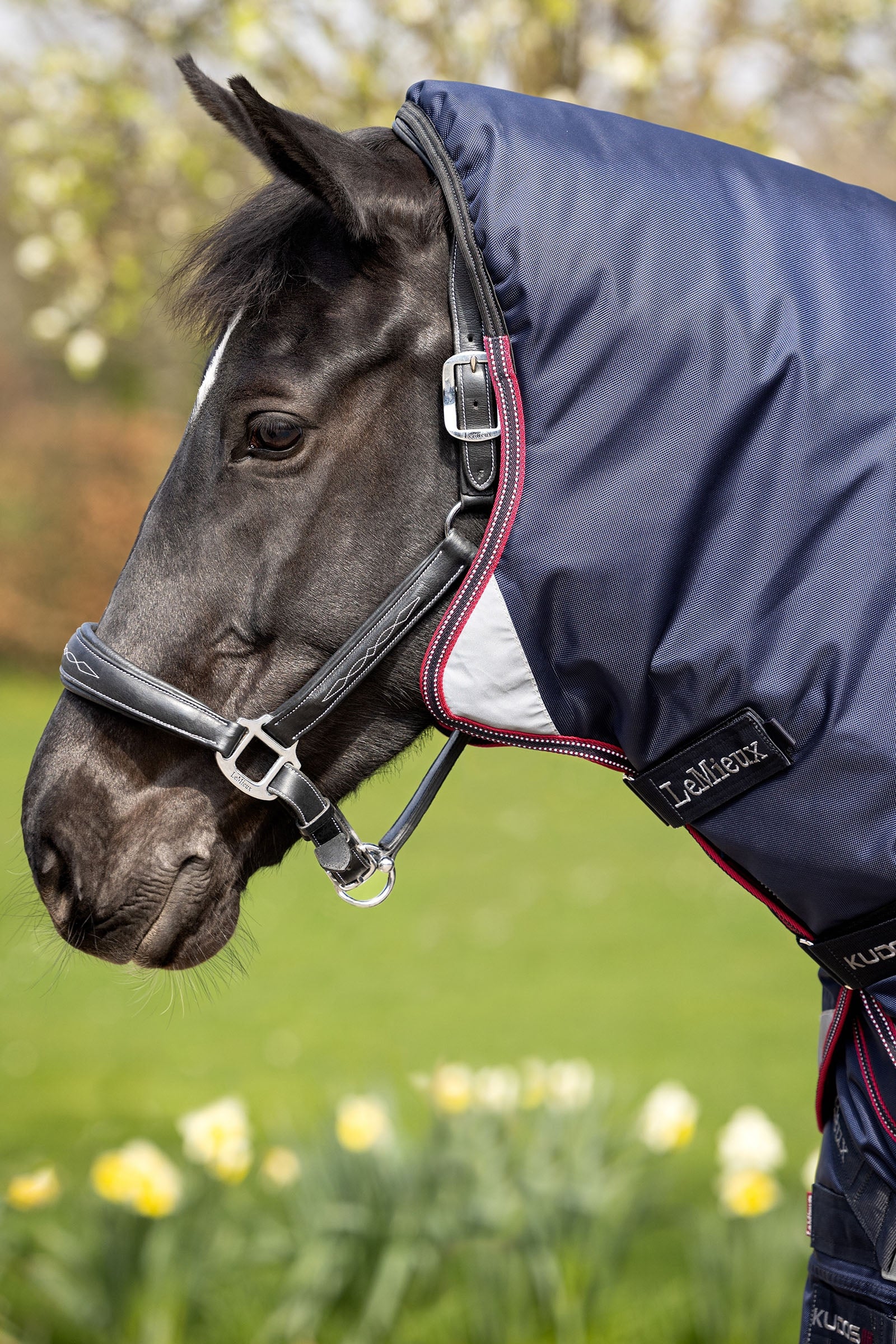 LeMieux Kudos Thermo Layer Turnout Rug 100g Horse Rugs