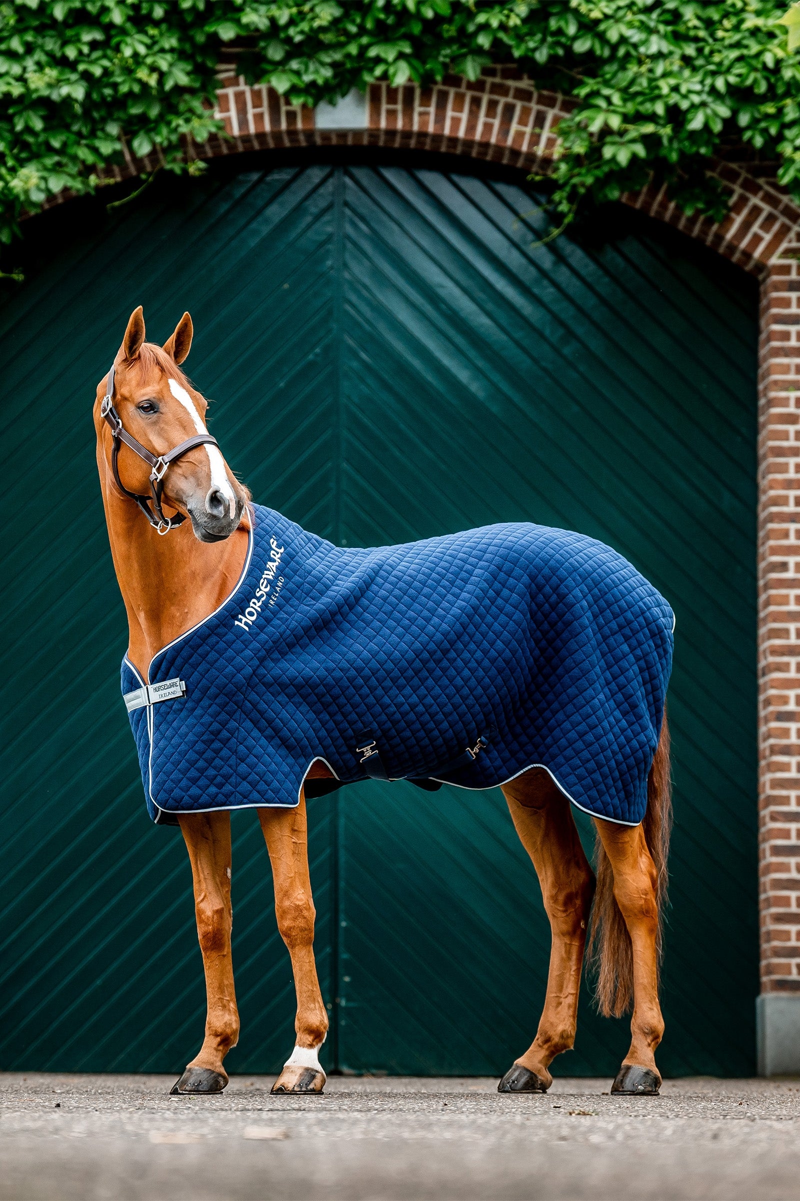 Horseware Autumn Cooler Abschwitzdecke Pferdedecken