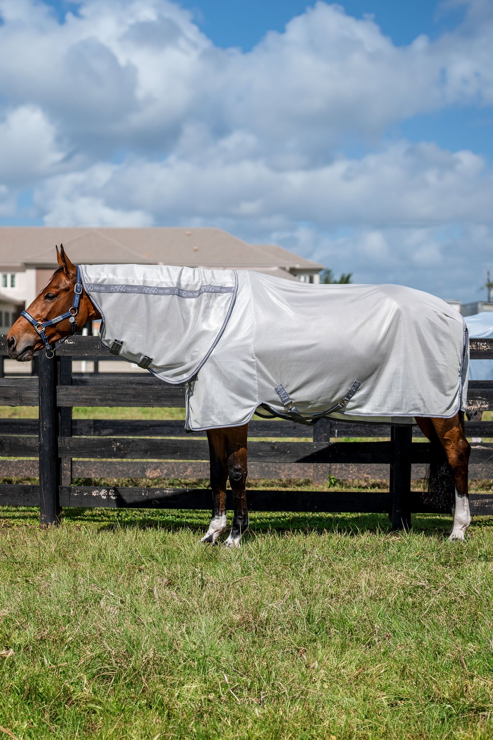 Horseware Amigo Bug Rug Plus – silberne Fliegendecke – horze