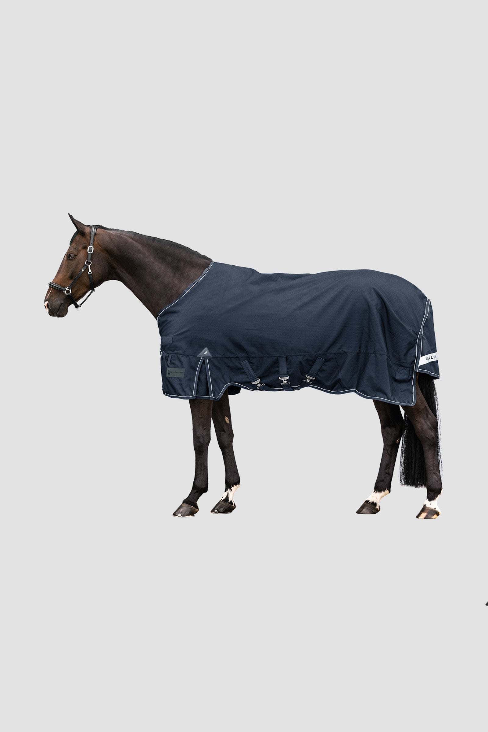 Waldhausen Outdoor Rug Scandic 300 g Pferdedecken