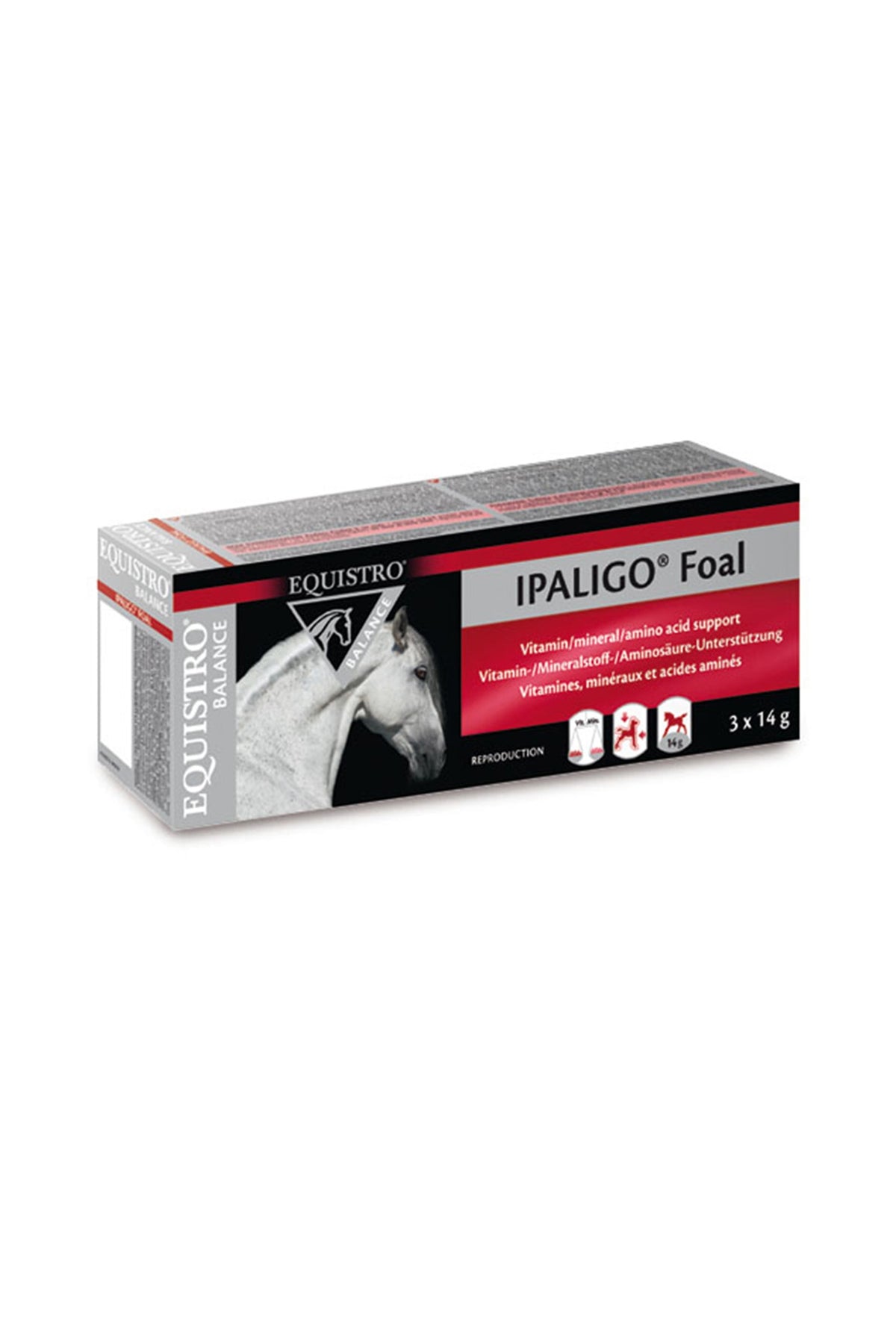 EQUISTRO Ipaligo Foal, 3 x 14 g Horse Feed & Nutrition