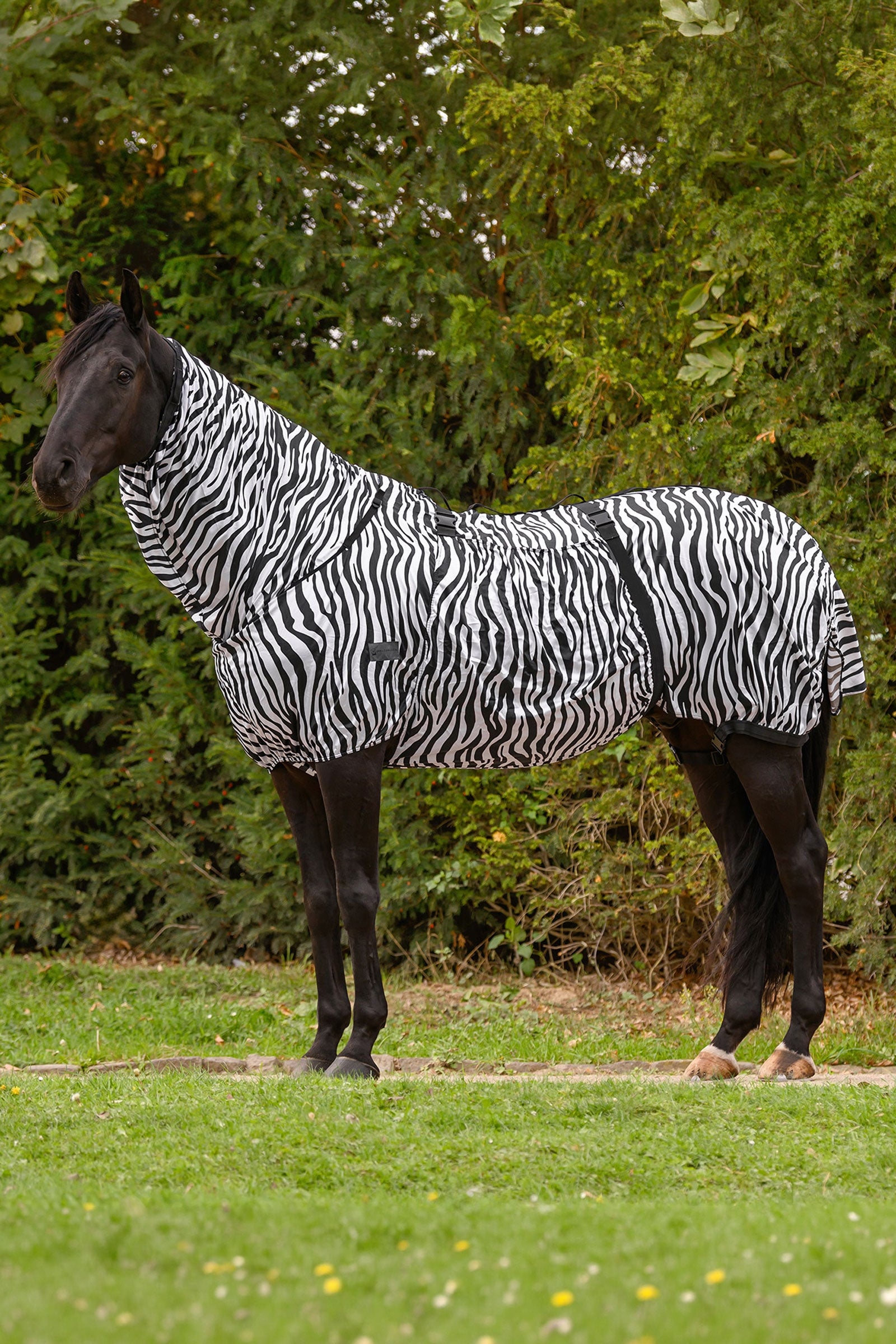 Waldhausen Basic Zebra Ekzemerdecke mit UV-Schutz Pferdedecken
