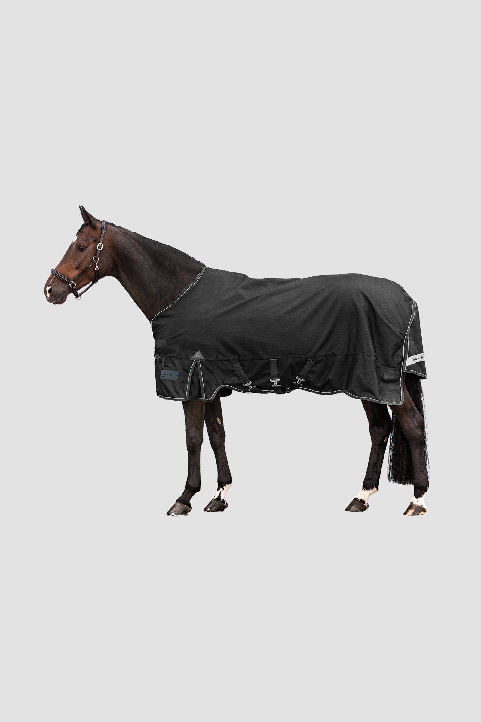 Waldhausen Outdoor Rug Scandic Multi-Layer 150g/50g Pferdedecken