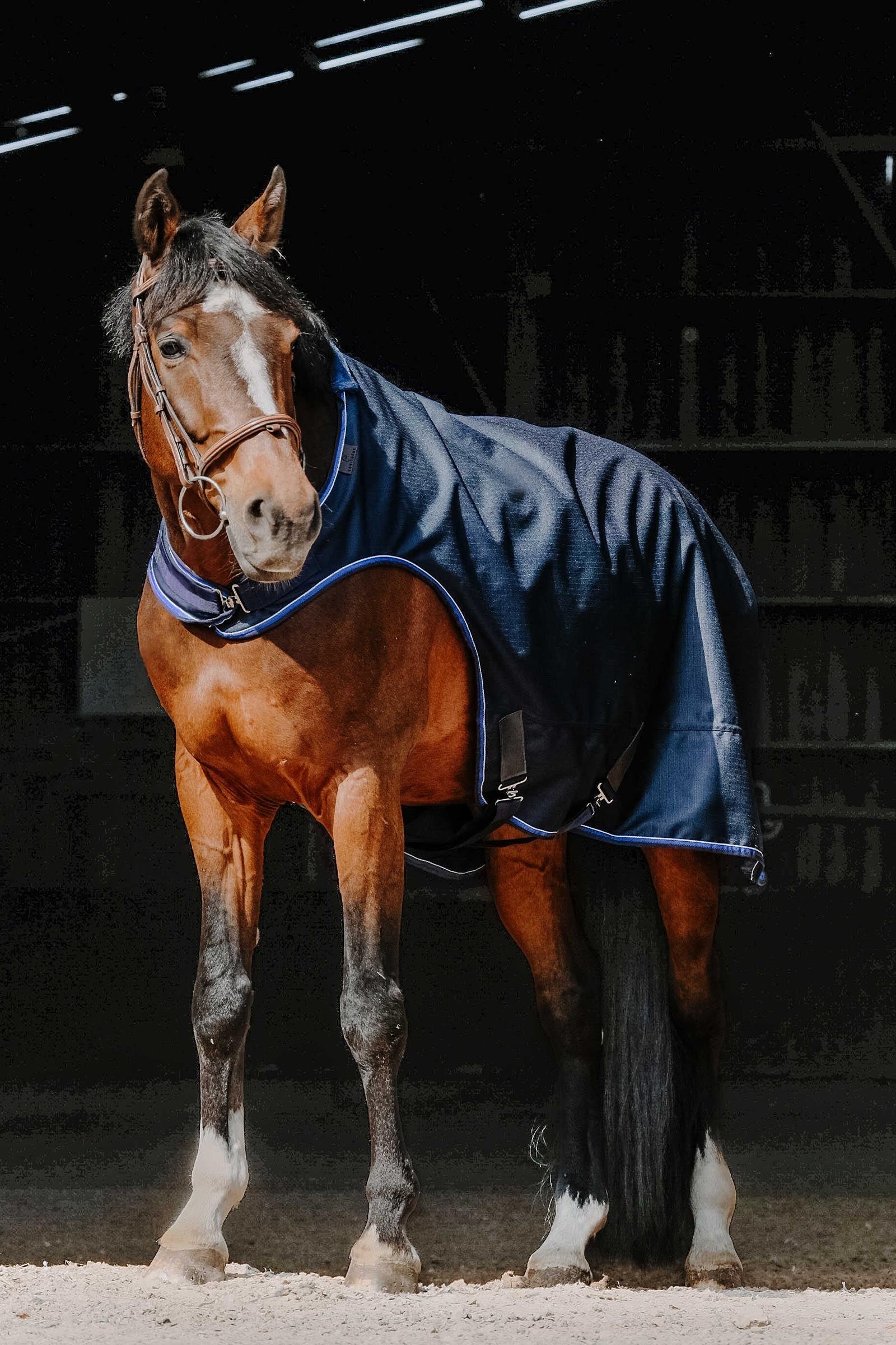 EQUITHÈME Classic 1200D Walker Sheet Horse Rugs