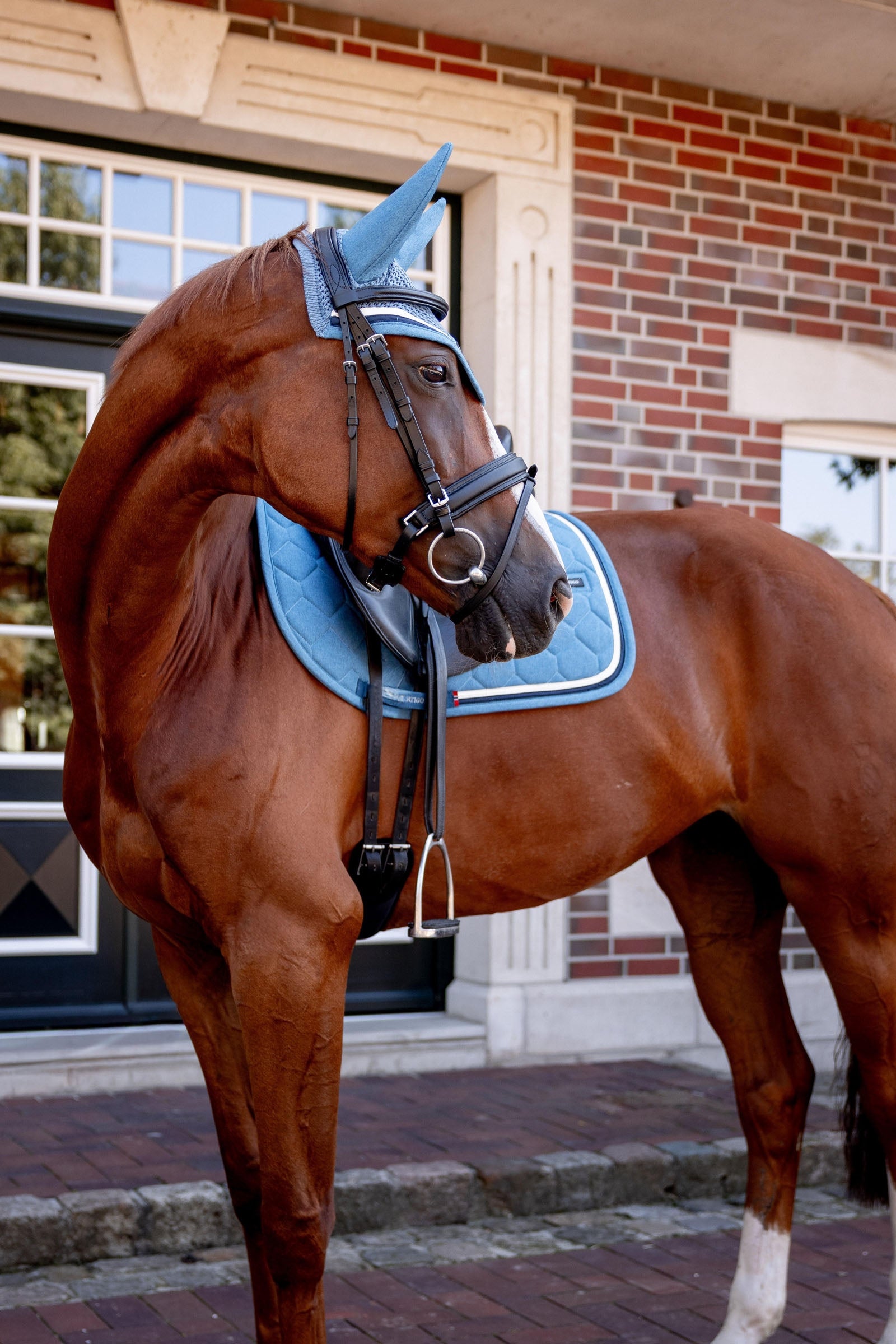 B Vertigo High Altitude Dressage Pad Saddle Pads