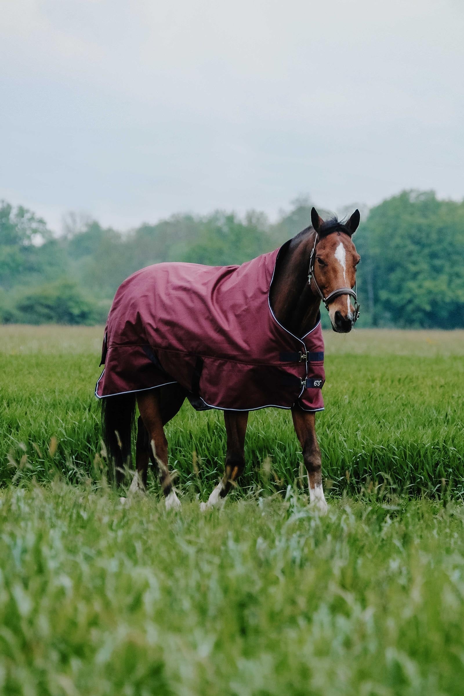 Equi Theme EQUITHÈME TYREX 1200D High Neck Rug, 0 g Horse Rugs