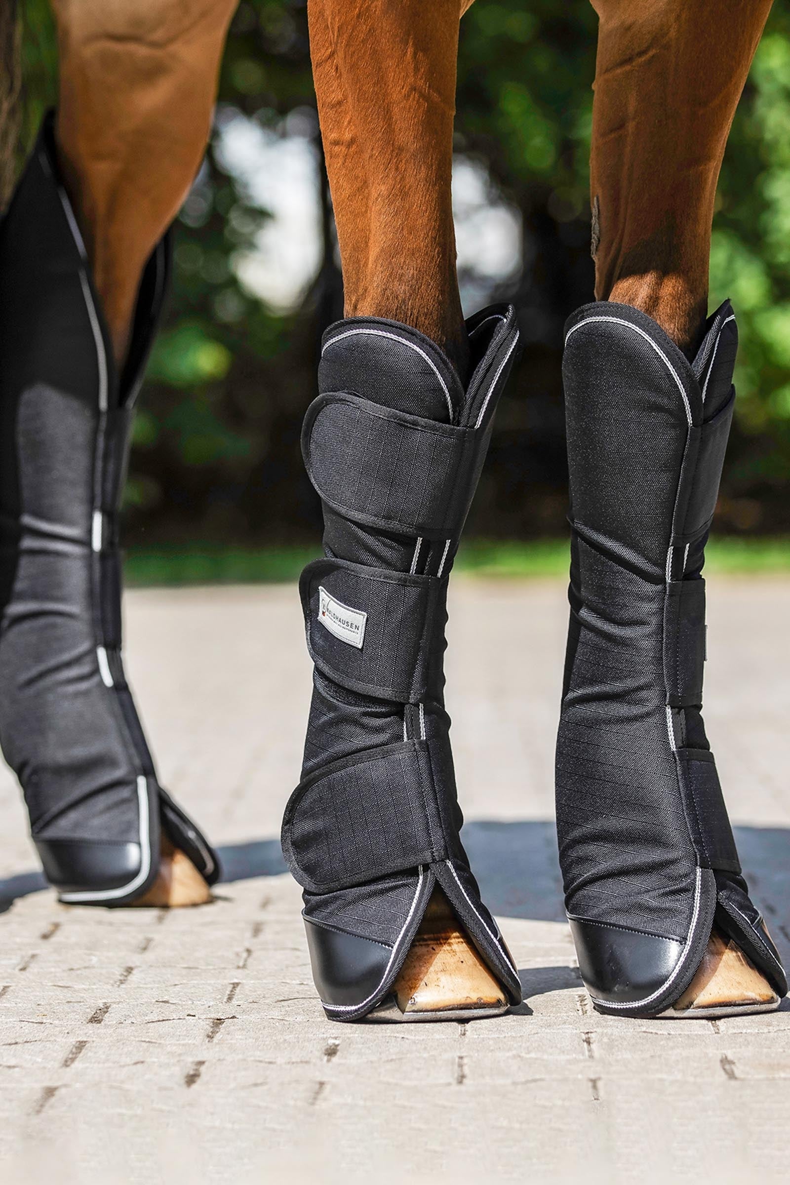 Waldhausen Comfort Line Travelling Boots (Set of 4) Leg Protection & Hoof Protection for Horses