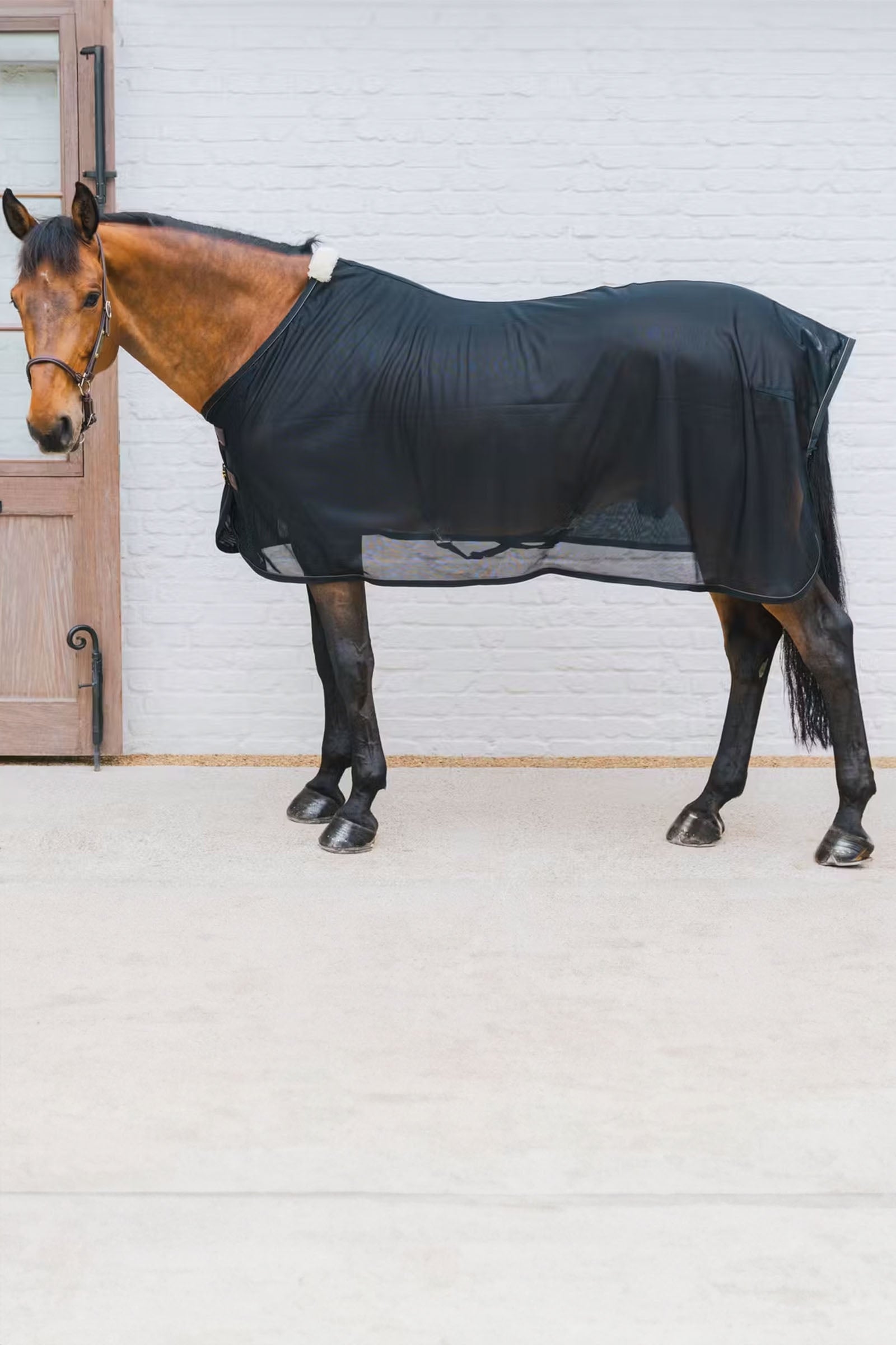 Kentucky Horsewear Mesh Fly Sheet Horse Rugs