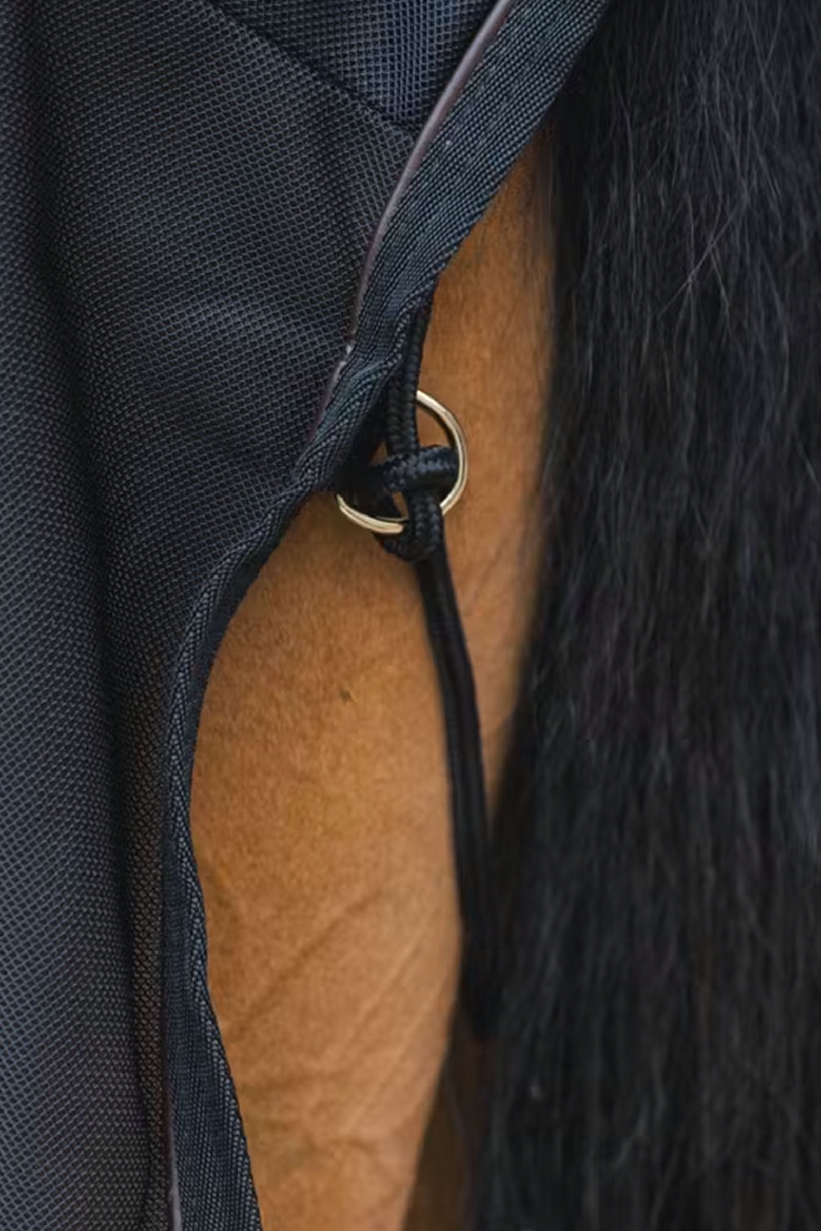 Kentucky Horsewear Mesh Fly Sheet Horse Rugs