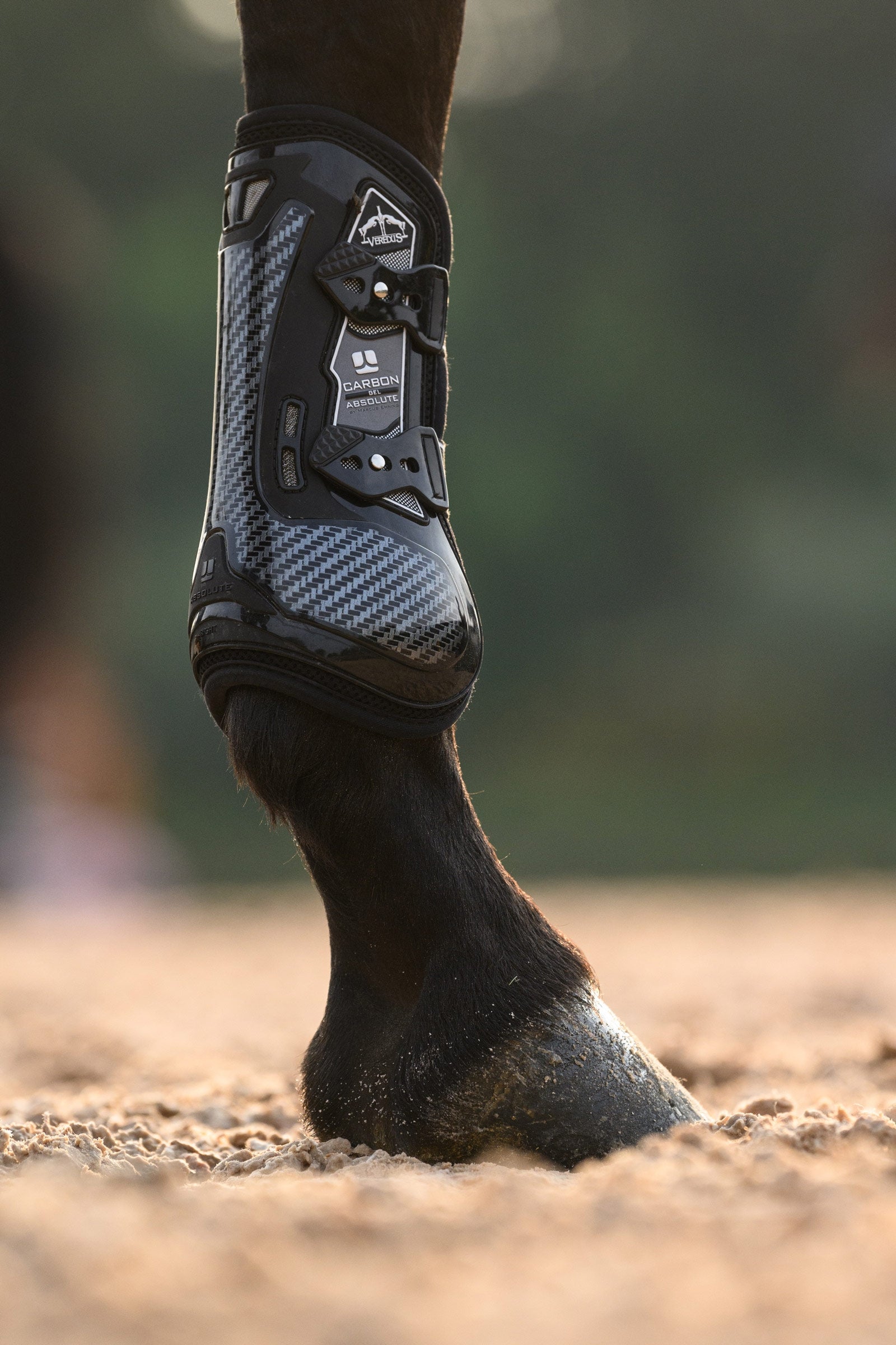 Veredus Carbon Gel Absolute Tendon Boots Leg Protection & Hoof Protection for Horses
