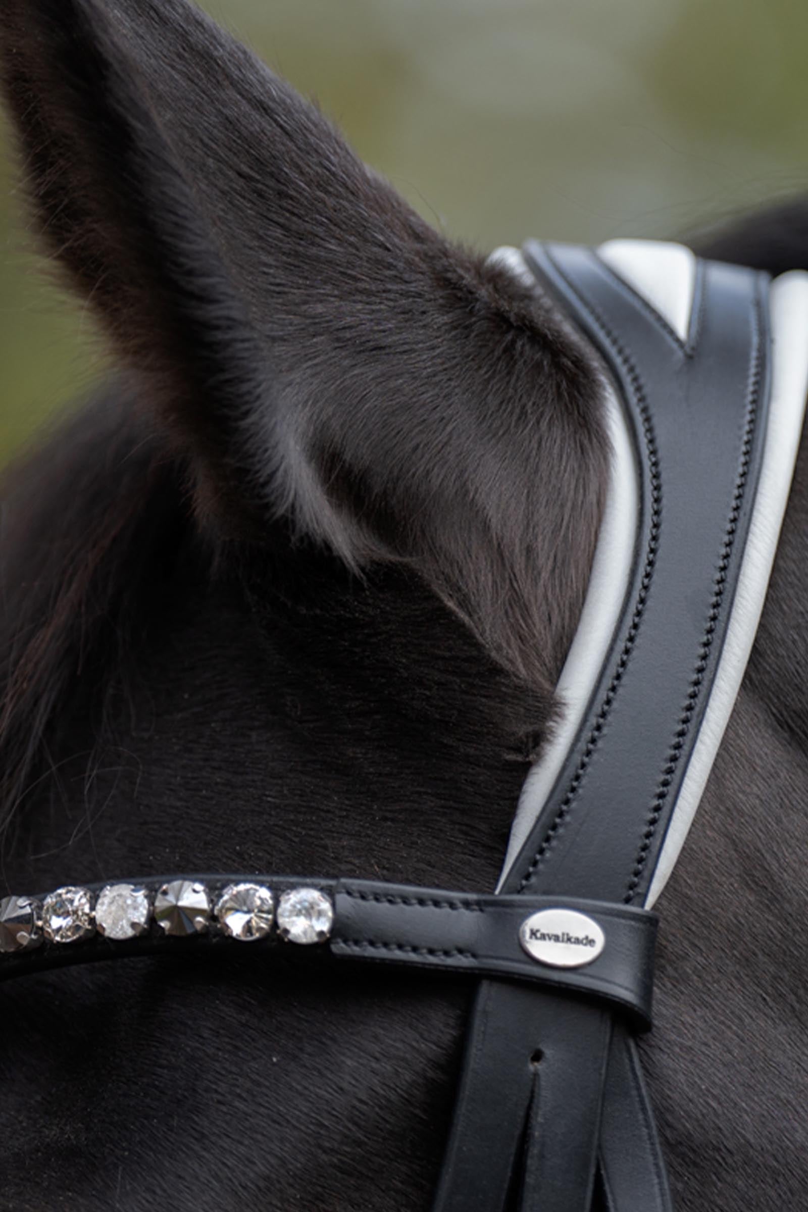 Kavalkade Zora Crank Bridle With Flash Bridles & Reins