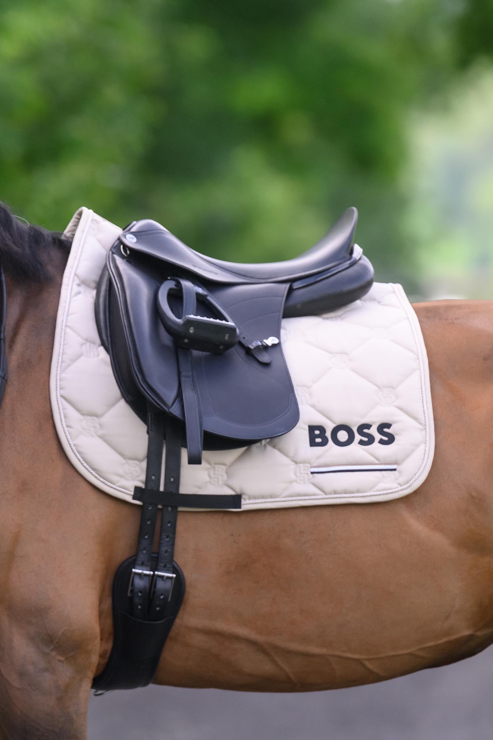 BOSS Equestrian Boss Cambridge Dressage Saddle Pad Saddle Pads