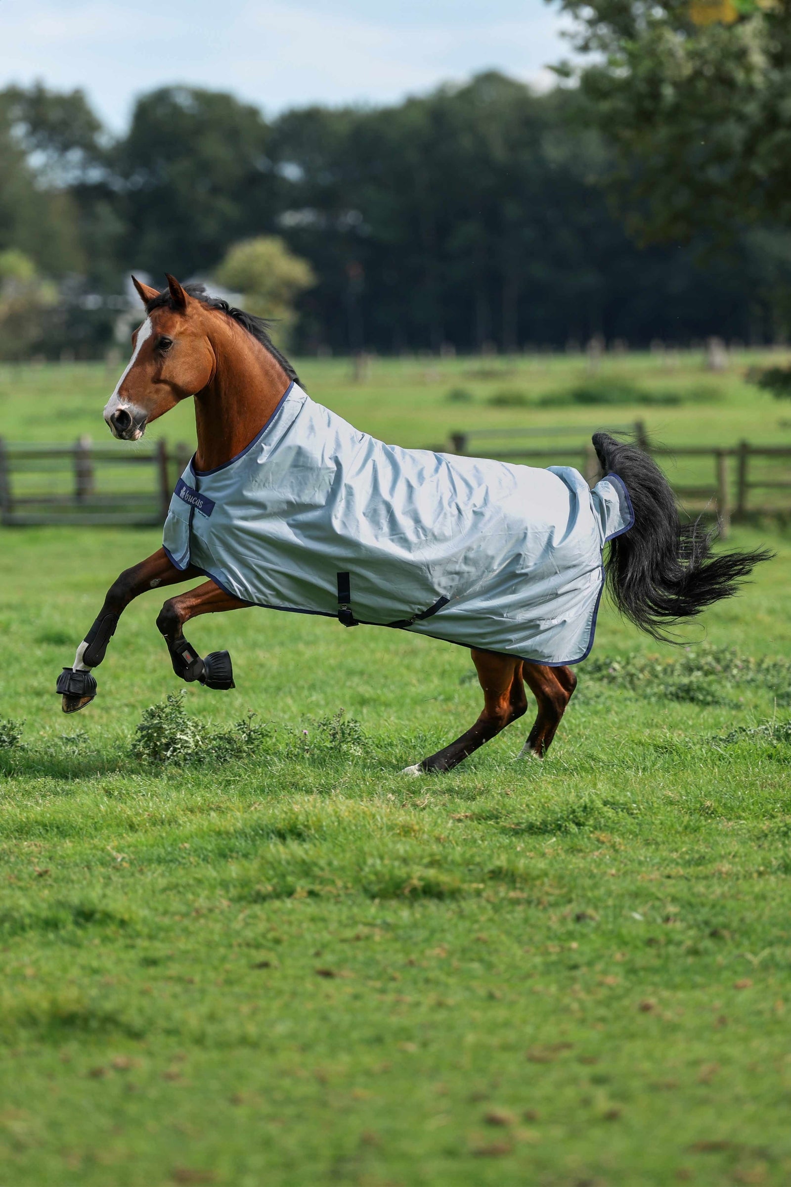 Bucas Power Light Weidedecke mit hohem Hals, 0 g Pferdedecken