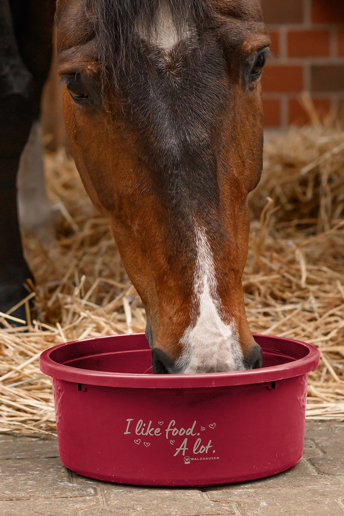 Waldhausen XL Muesli Bowl With Lid Horse Feeders & Waterers