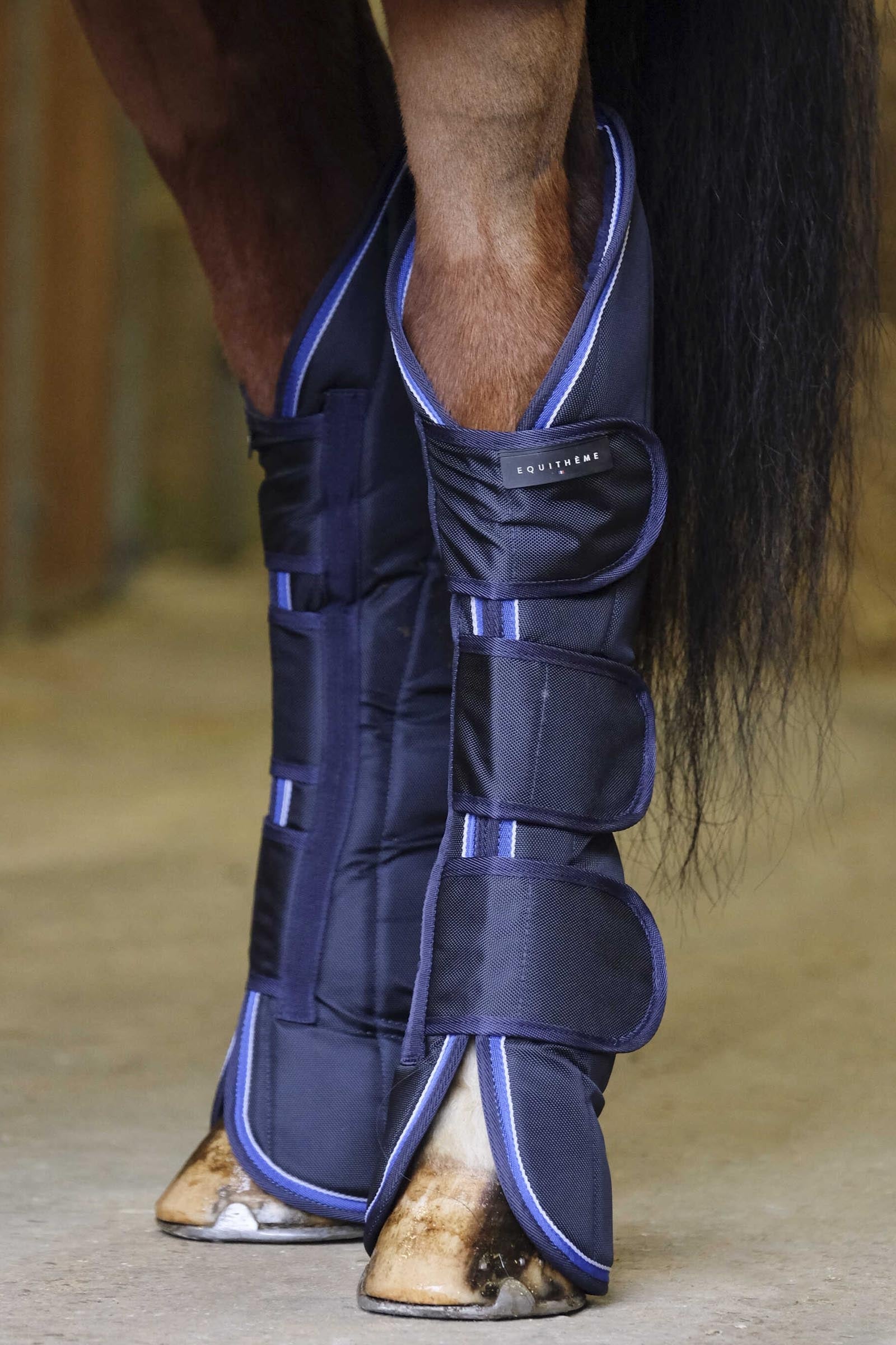 Equi Theme EQUITHÈME TYREX 1680D Transportgamaschen Leg & Hoof Protection