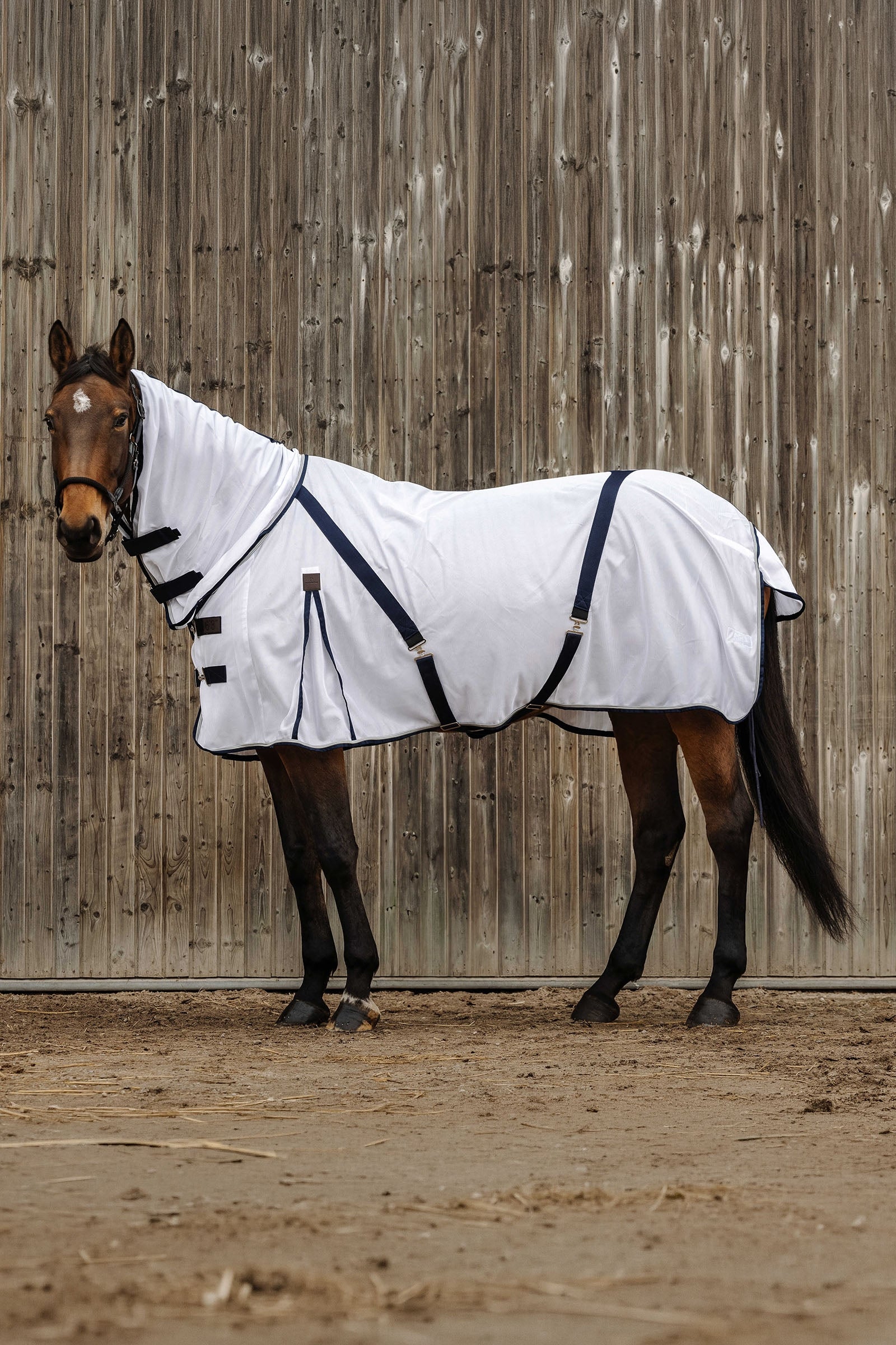 Equi Theme EQUITHÈME Mesh Combo Anti-Insect Sheet Horse Rugs
