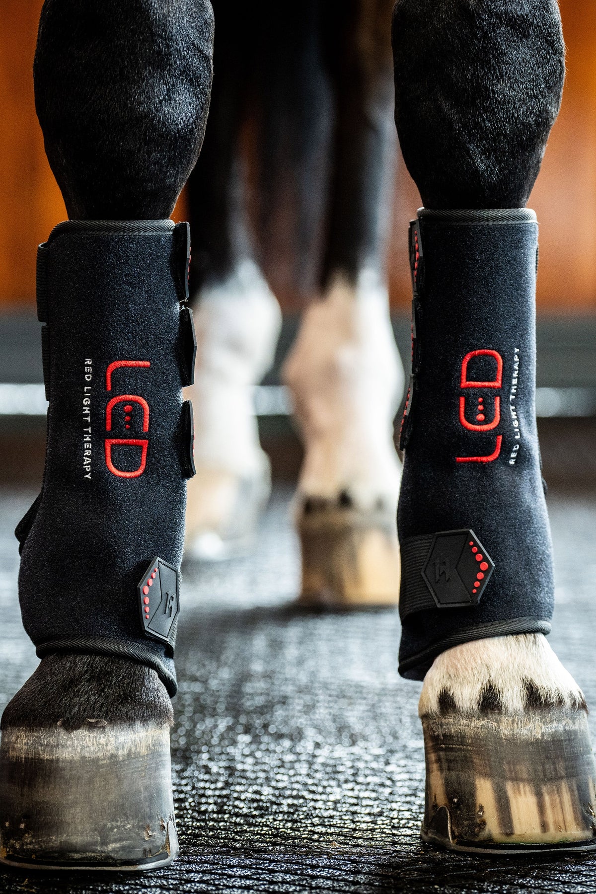 Horseware LED Red Light Therapy Leg Wraps Leg & Hoof Protection
