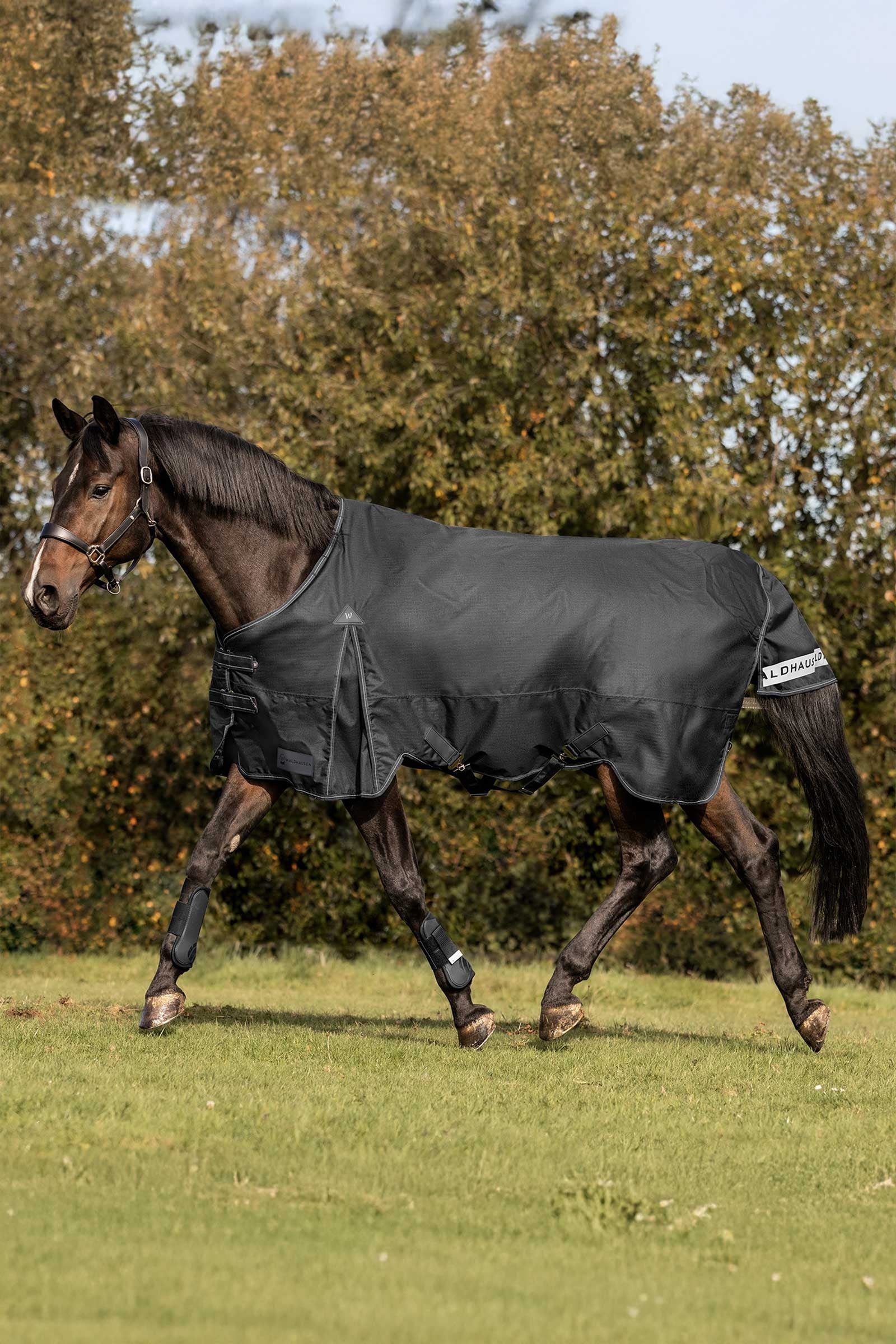 Waldhausen Arctic Turnout Rug, 50 g Horse Rugs