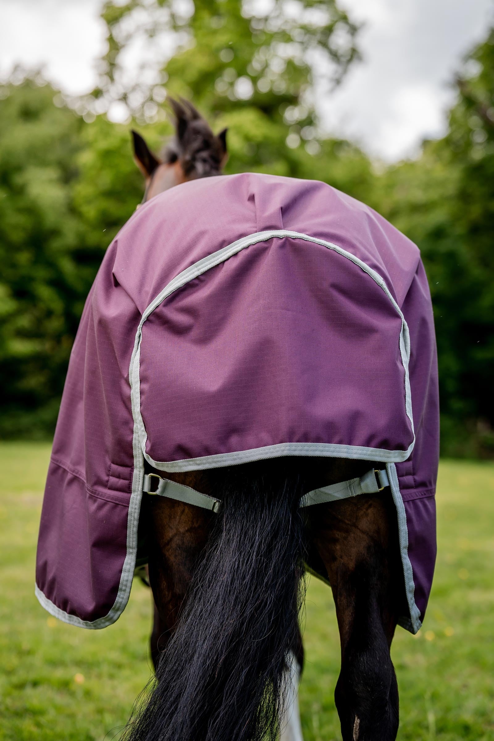 Horseware Amigo Hero Ripstop Turnout Rug, 50g Horse Rugs