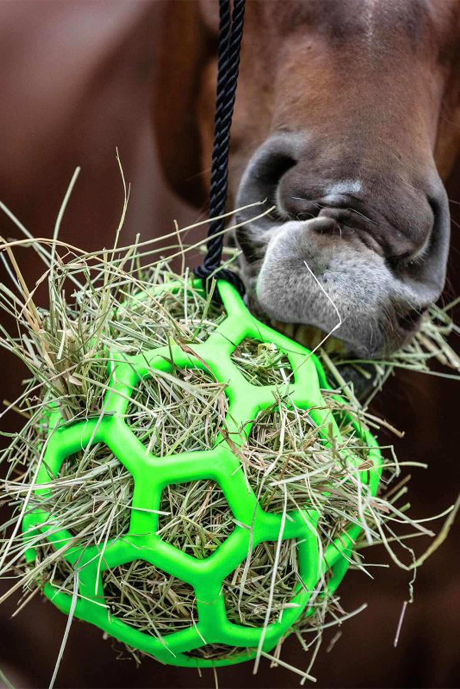 Waldhausen Heuball Füttern & Tränken