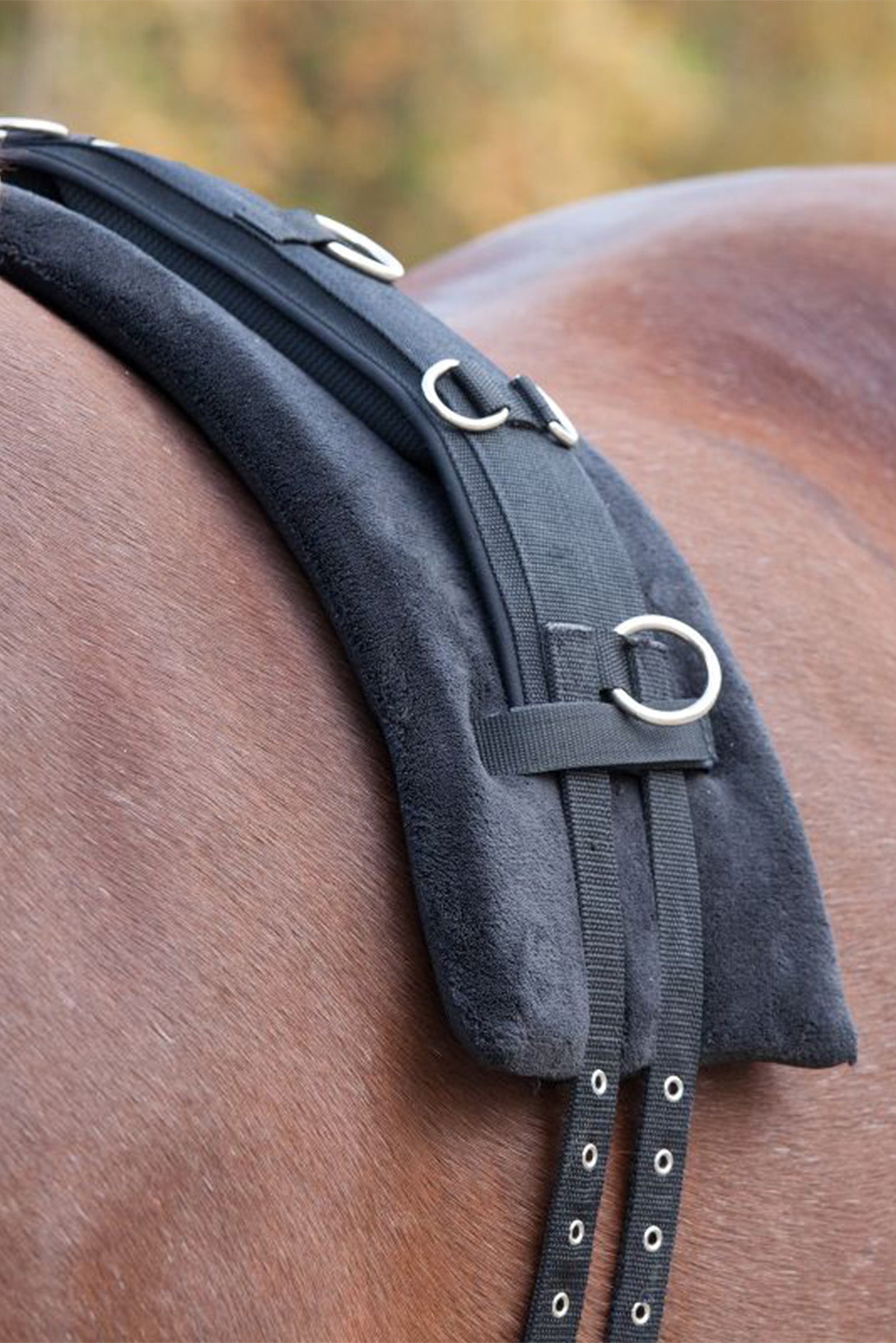 Waldhausen Memory Foam Surcingle Pad Horse Training