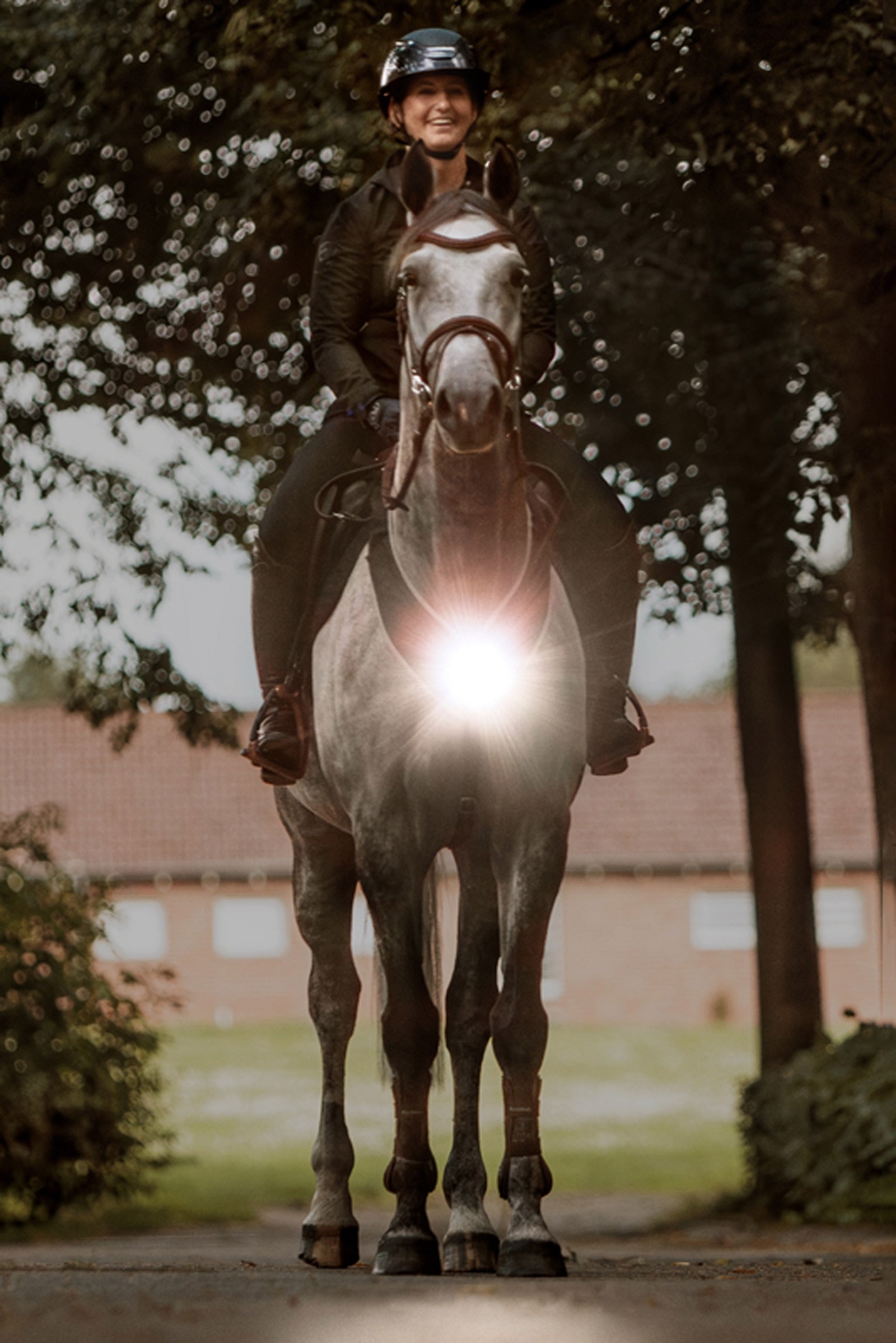 Kavalkade Horselight Breastplate With White Front Light Reflective