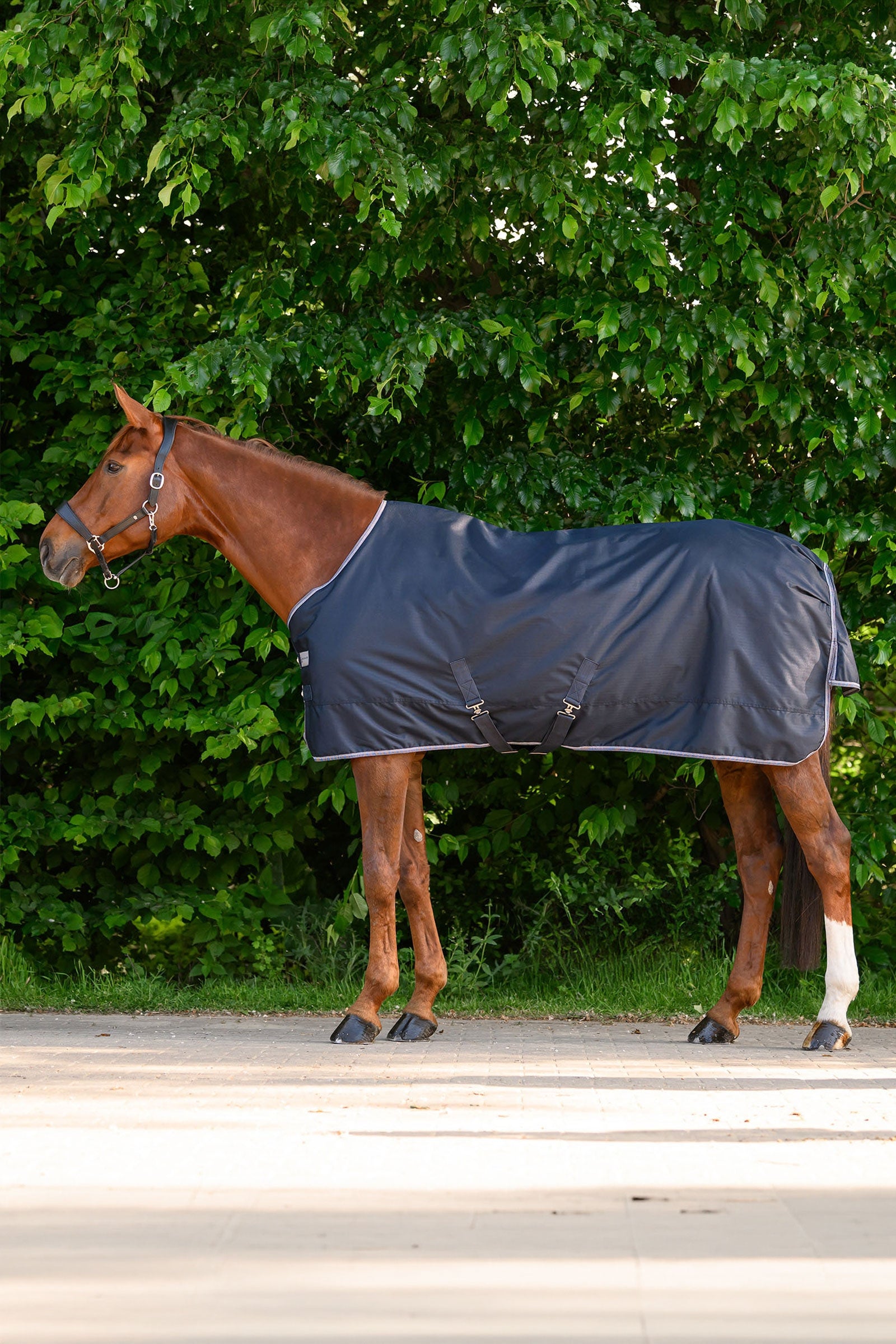 Waldhausen ECONOMIC Outdoordecke, 200g Pferdedecken