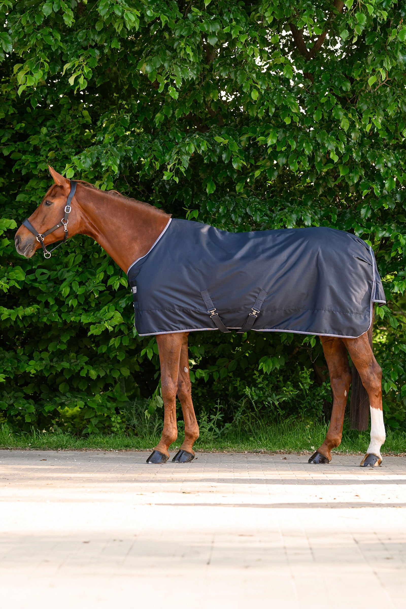 Waldhausen ECONOMIC leichte Outdoordecke Pferdedecken