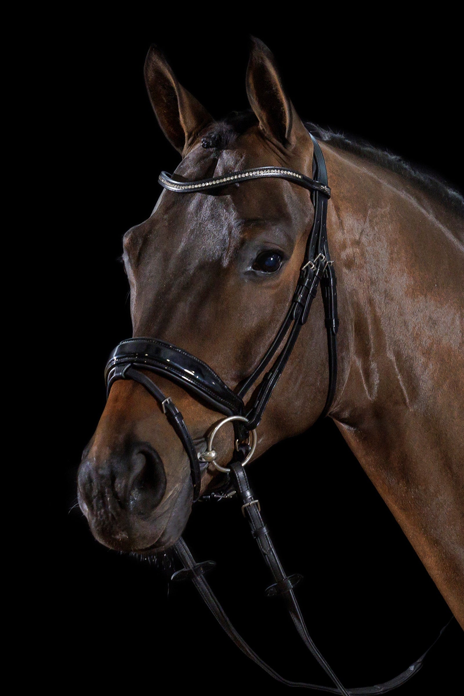 Schockemöhle Sports Stanford Bridle Bridles & Reins