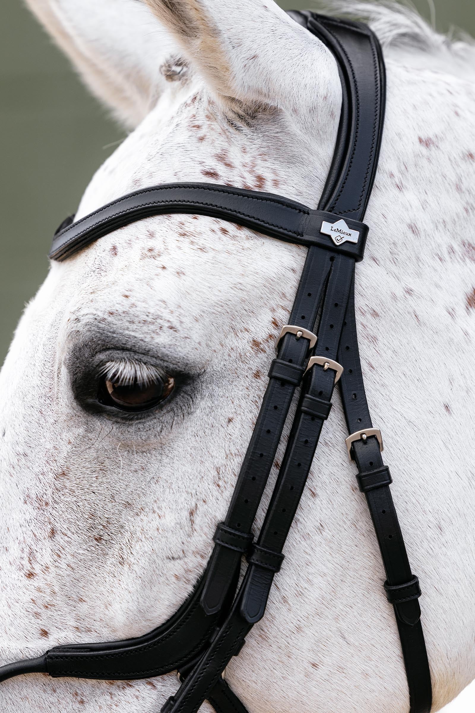 LeMieux Arika Adjustable Anatomic Nose Bridle Bridles & Reins