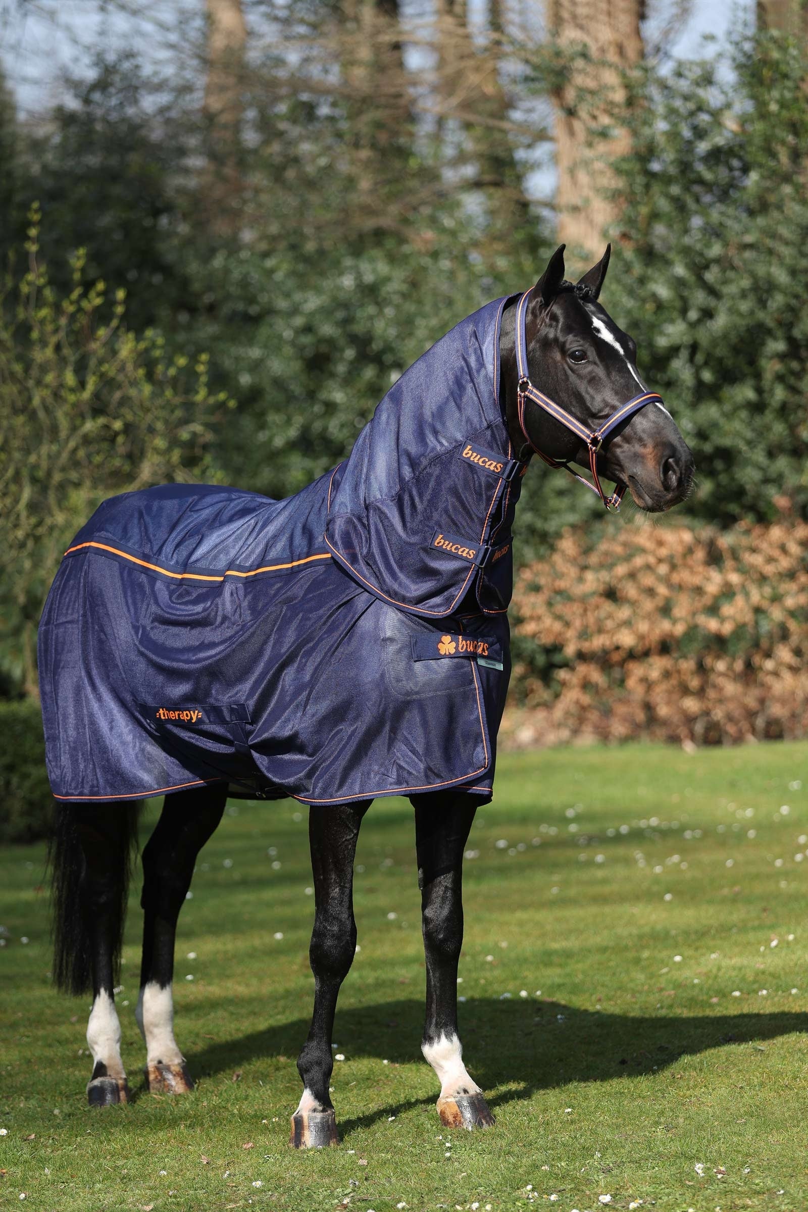 Bucas Therapy Mesh Cooler Rug Horse Rugs
