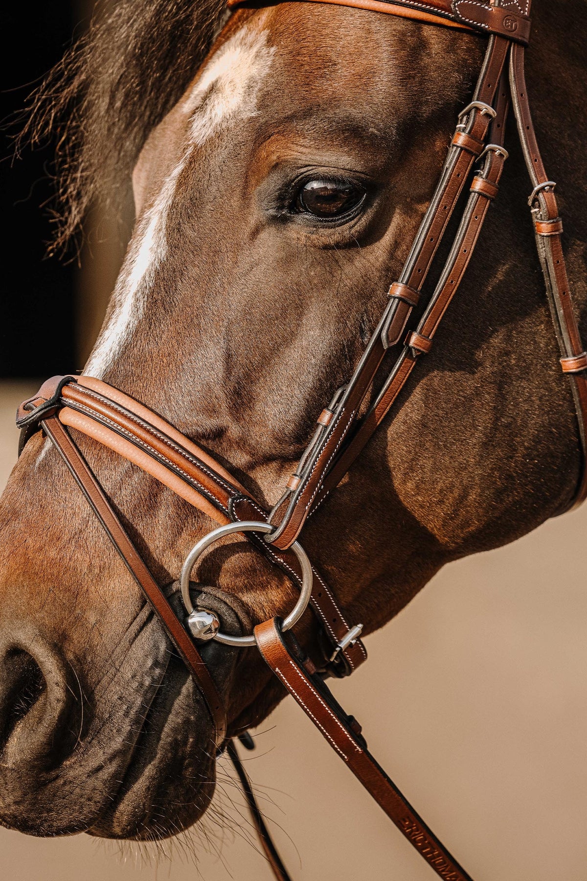 ERIC THOMAS Work Bridle Bridles & Reins