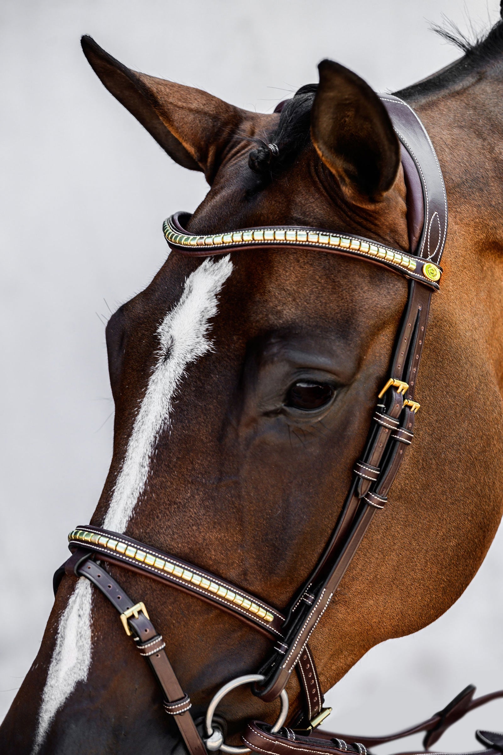PS of Sweden Antwerp 2.0 Bridle Bridles & Reins
