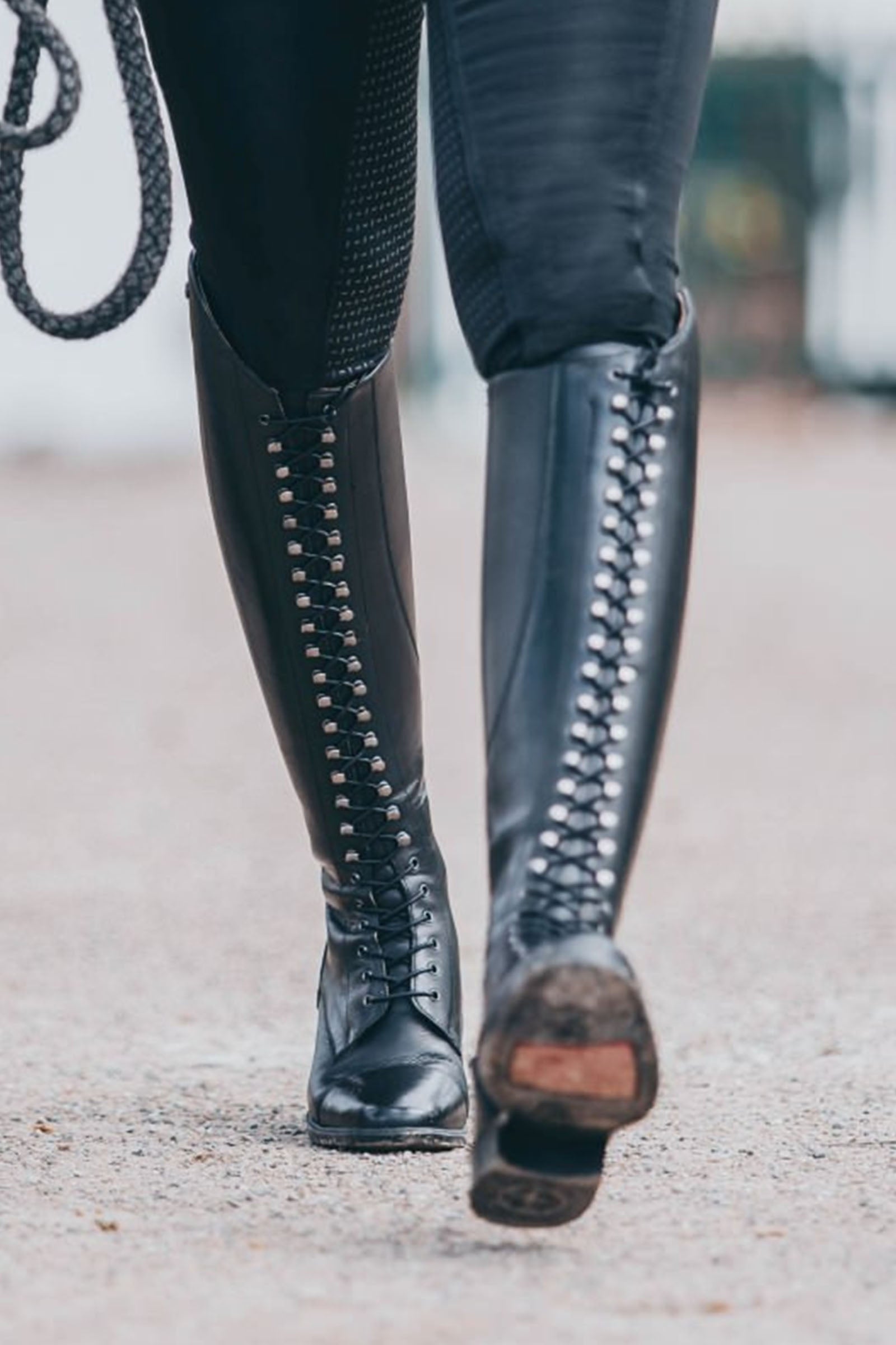 Suedwind Footwear Legacy Venado Lace Tall Riding Boots Riding Boots & Riding Shoes