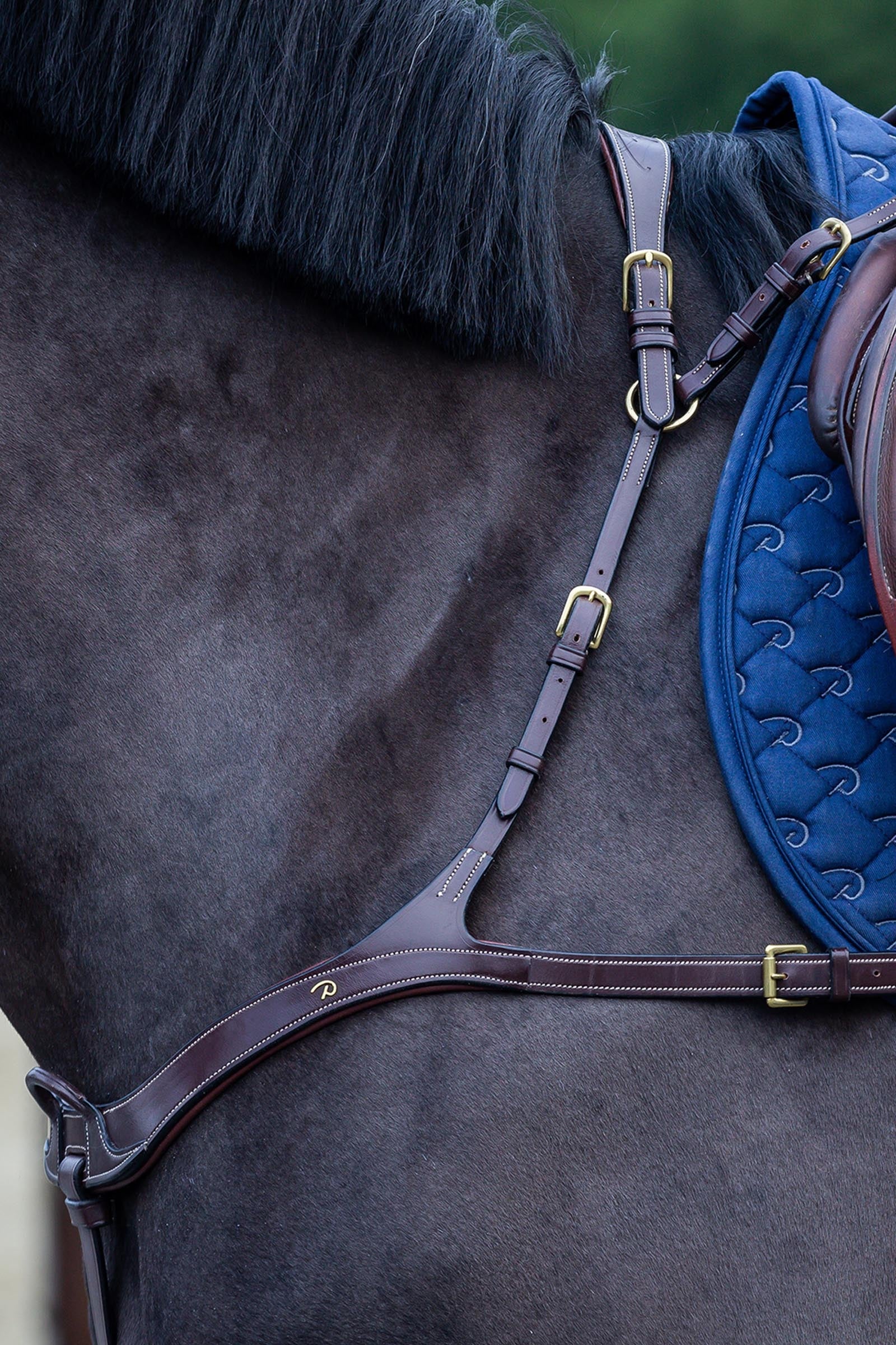 Dy'on D Collection anatomisches Vorderzeug Trensenzäume & Zügel