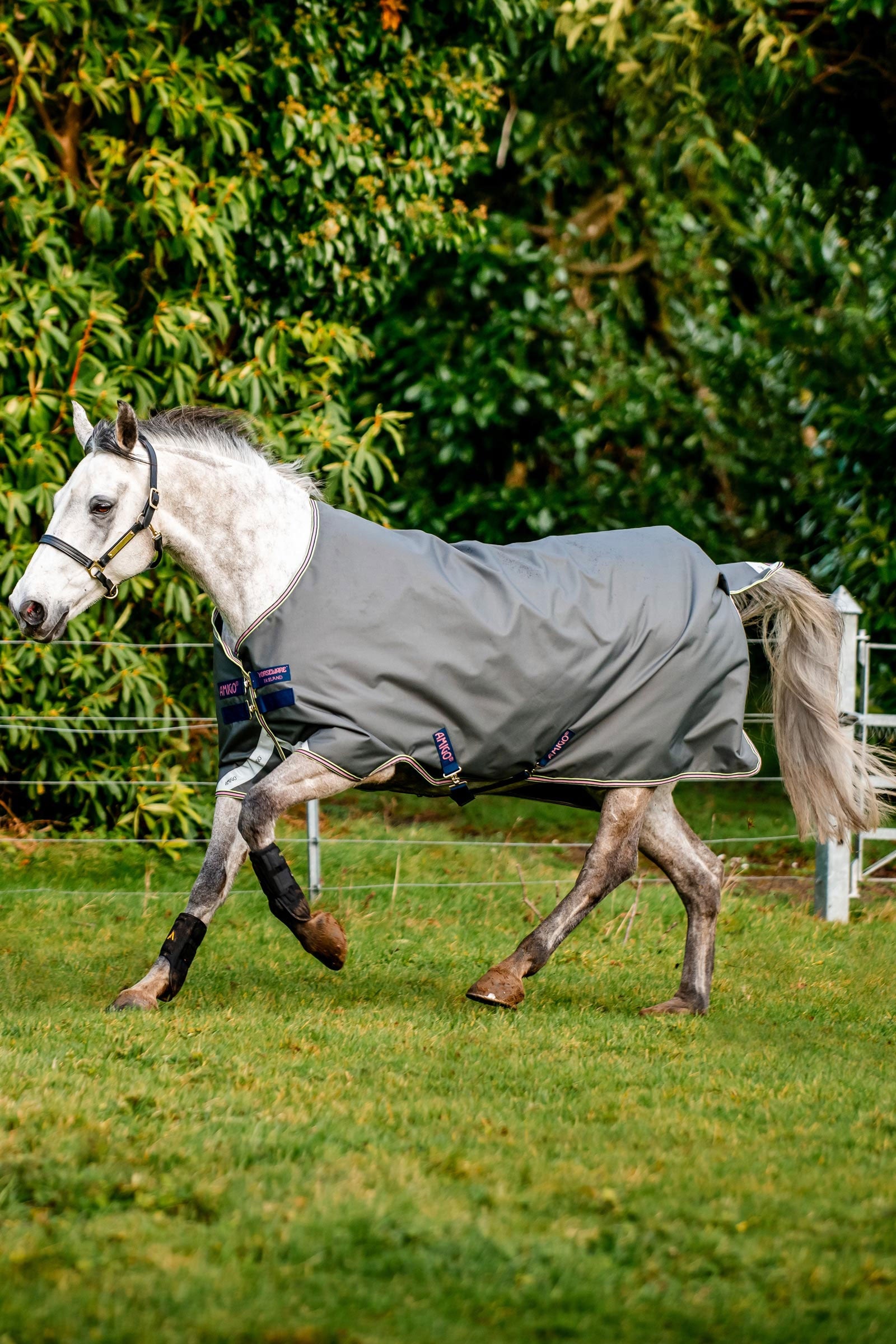 Horseware Amigo Bravo 12 Turnout Rug, 0g Horse Rugs