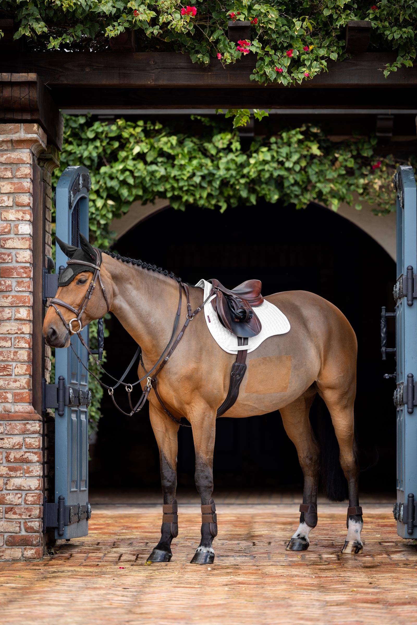 LeMieux Prosorb Plain 2 Pocket Close Contact Pad Saddle Pads