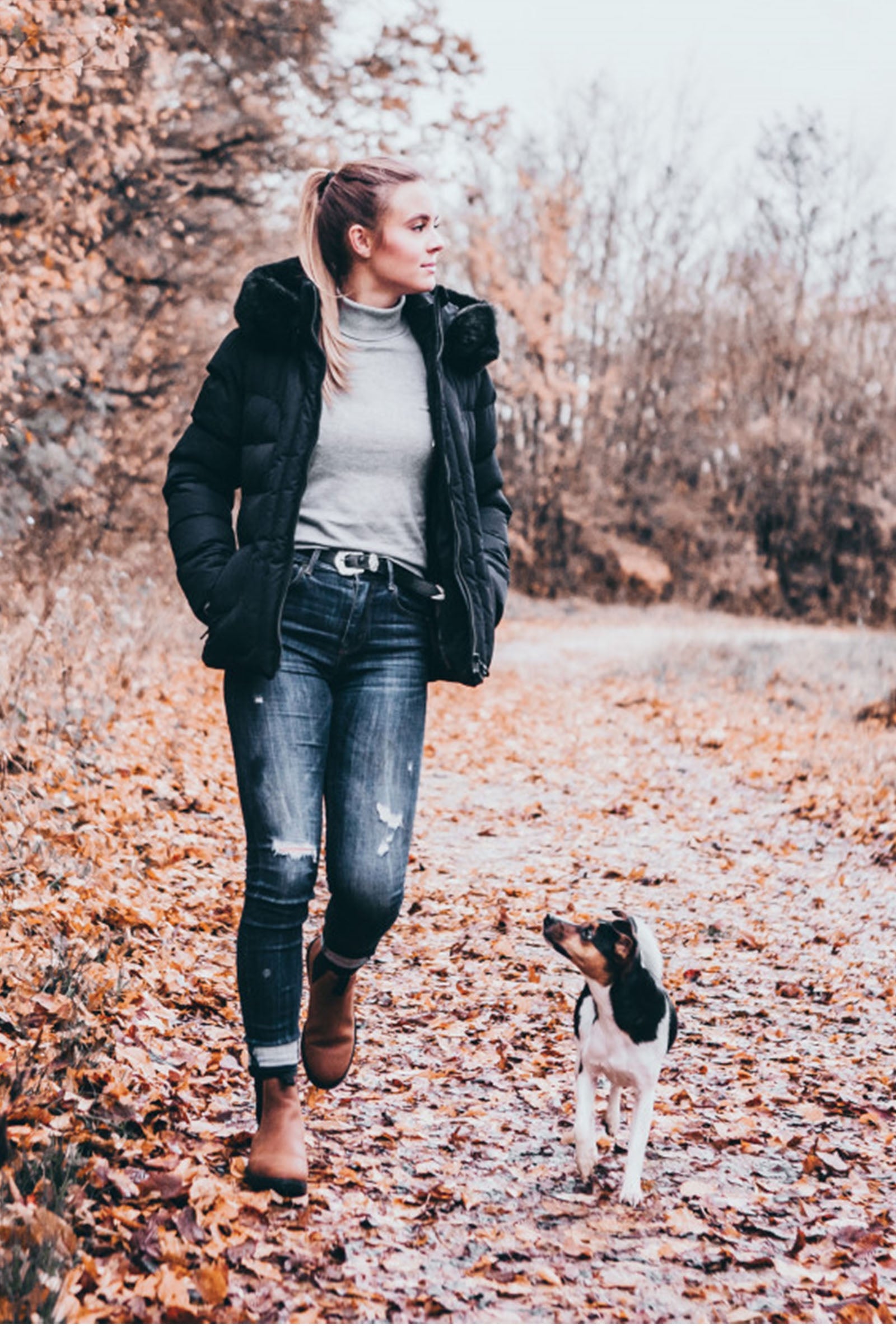 Suedwind Footwear New Work Chelsea Boots Riding Boots & Riding Shoes