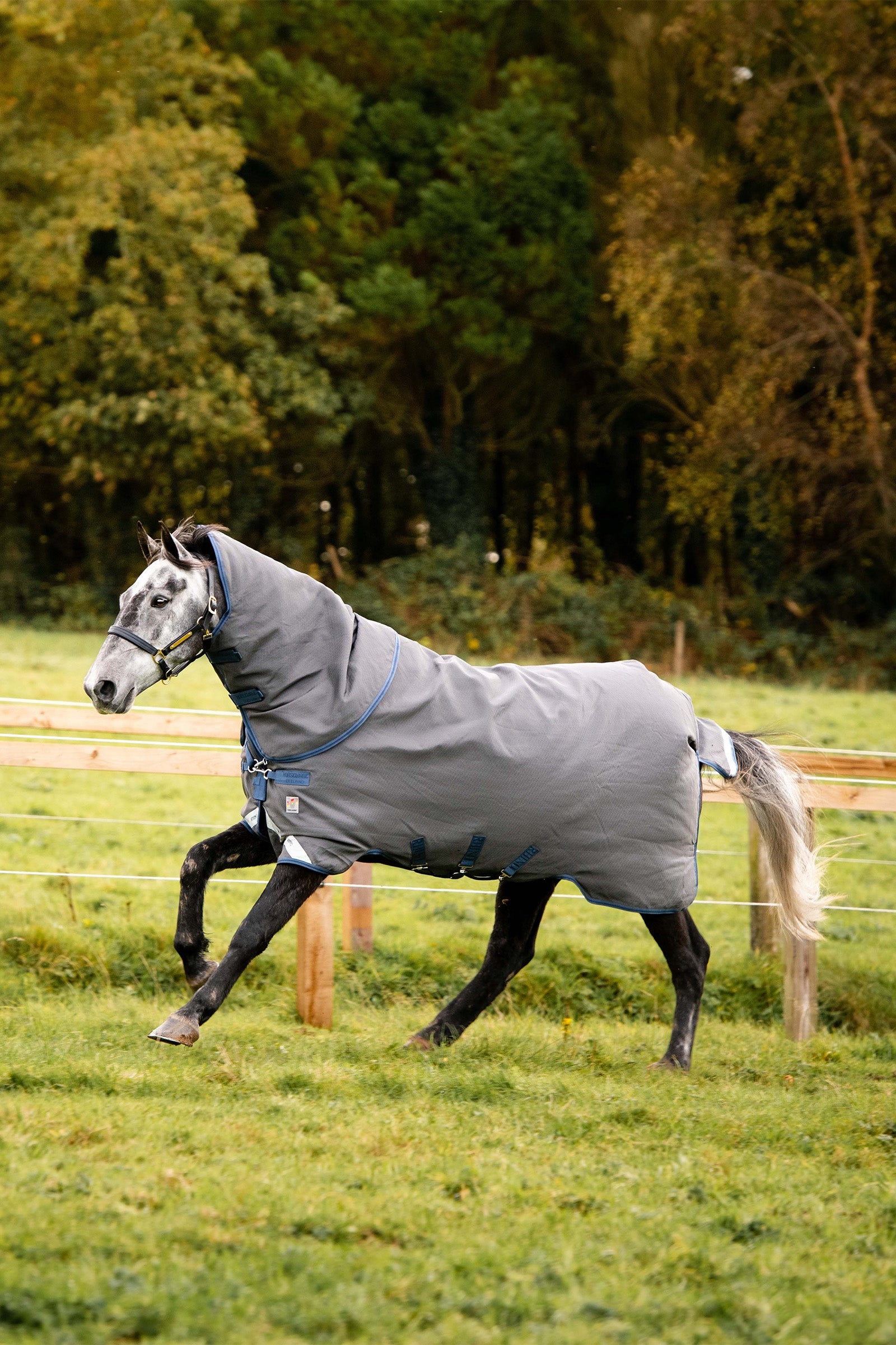 Horseware Rhino Plus HexSTOP Weidedecke, 0g Pferdedecken