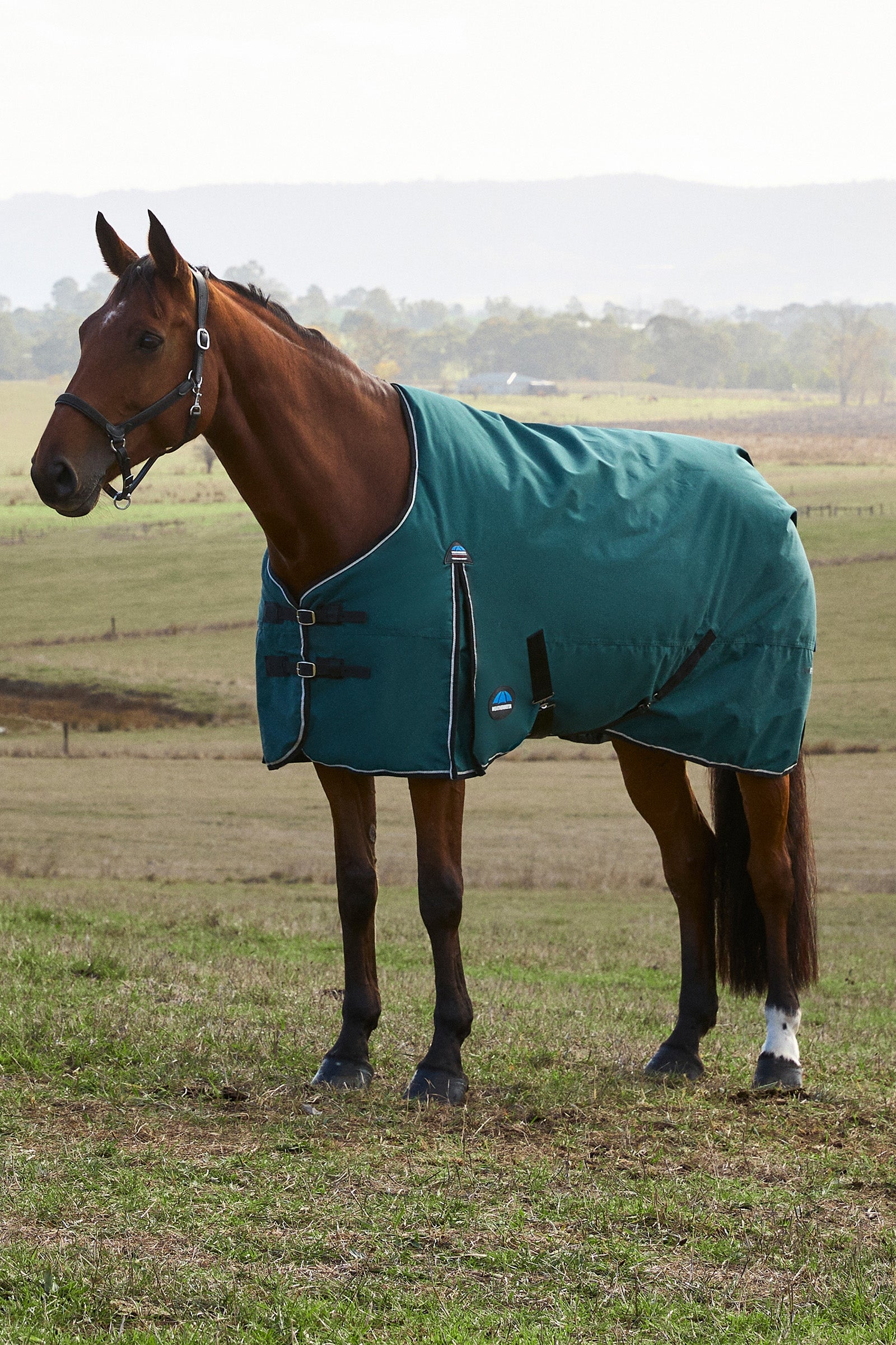 Weatherbeeta ComFiTec Classic Turnout Standard Neck 220G Pferdedecken