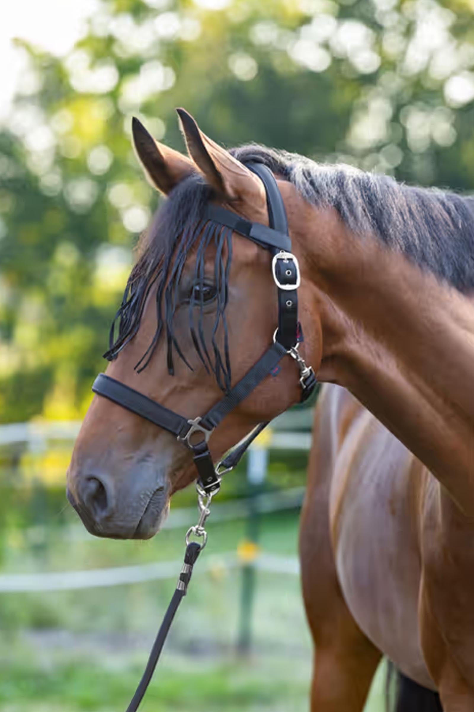 Covalliero Fly Fringe Strap Antifly Protection for Horses