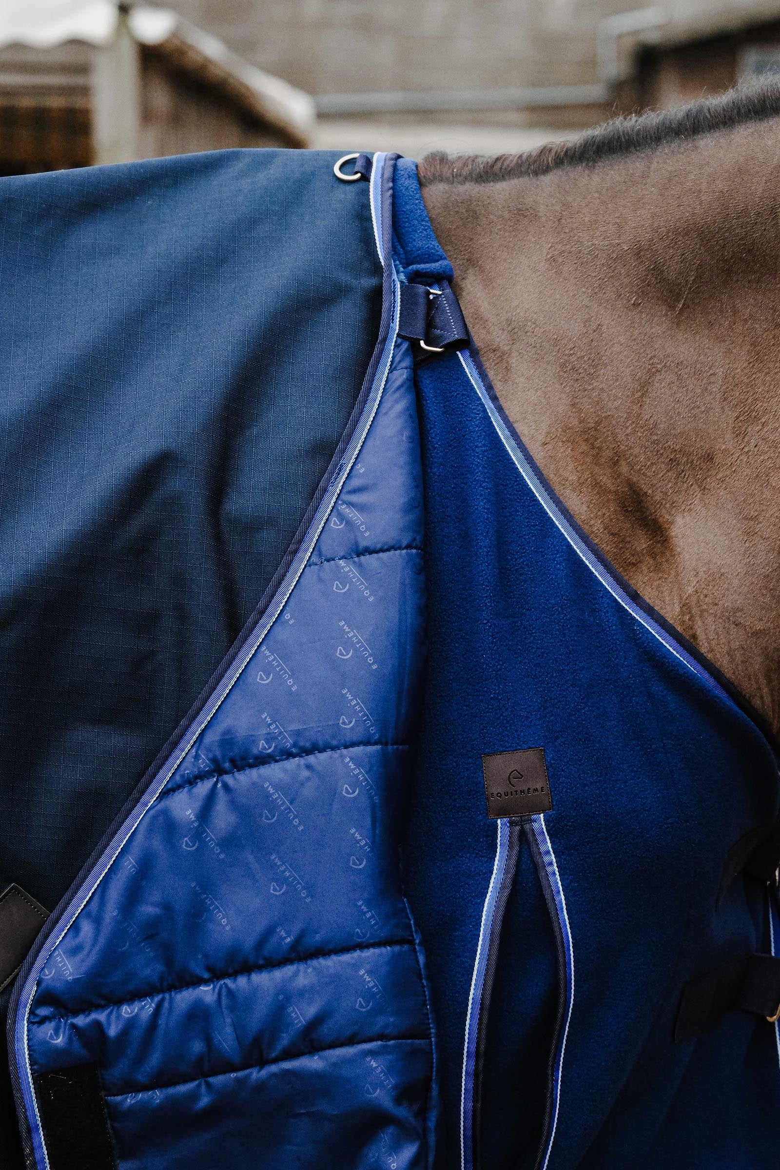 Equi Theme EQUITHÈME Classic 1200D Turnout Rug, 200 g Horse Rugs