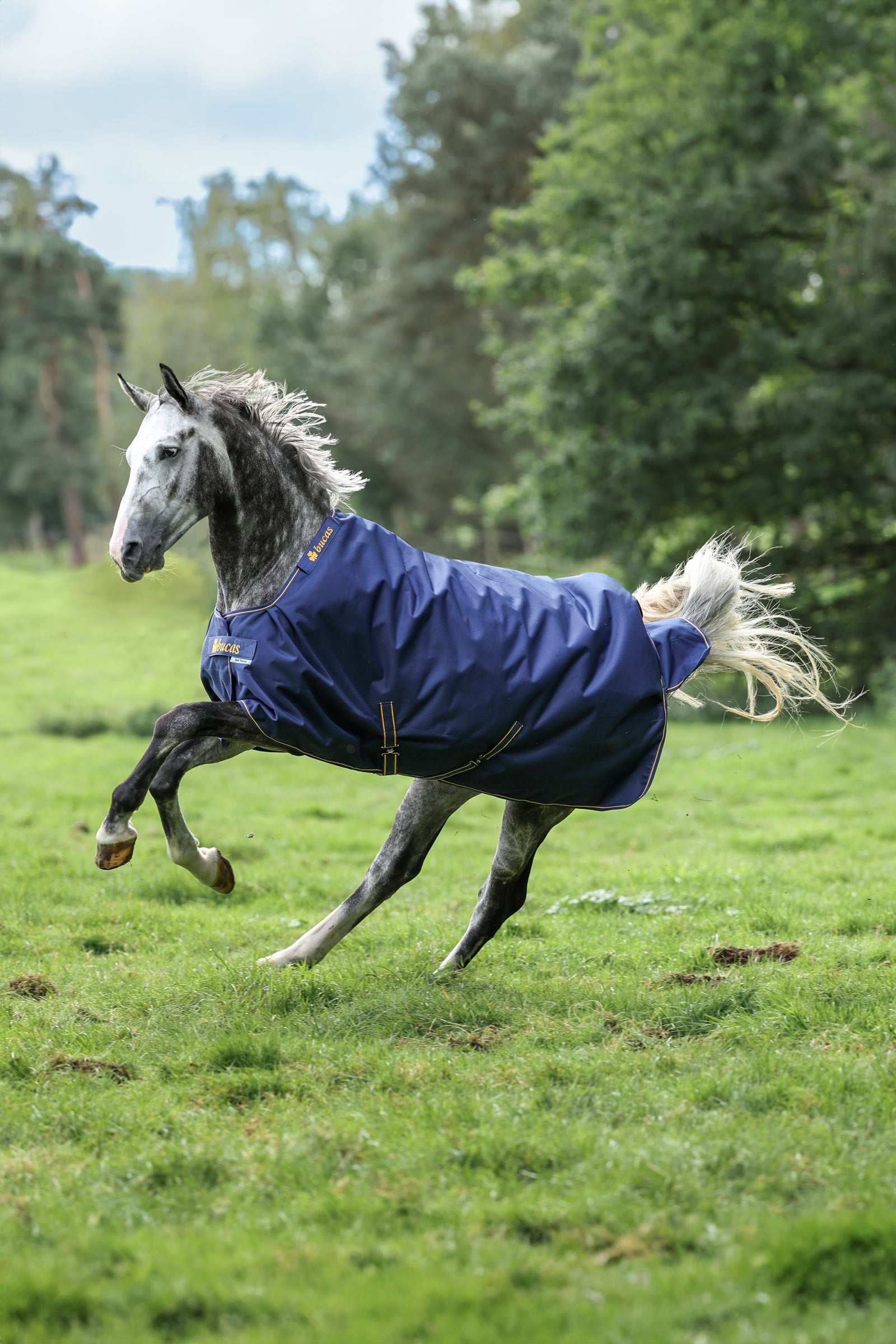 Bucas Irish Weidedecke, 150g Pferdedecken