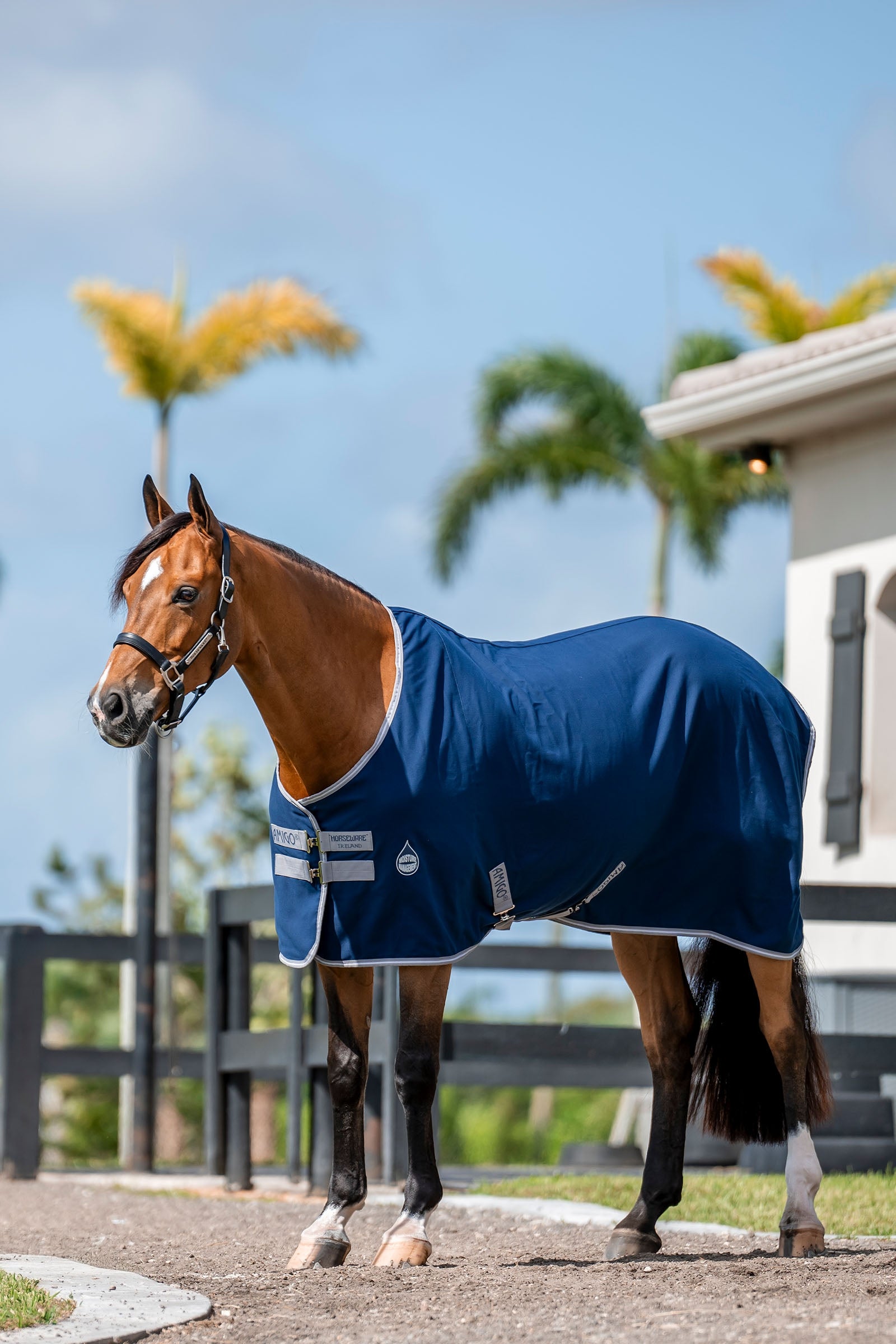 Horseware Amigo Stalldecke, 0g Pferdedecken