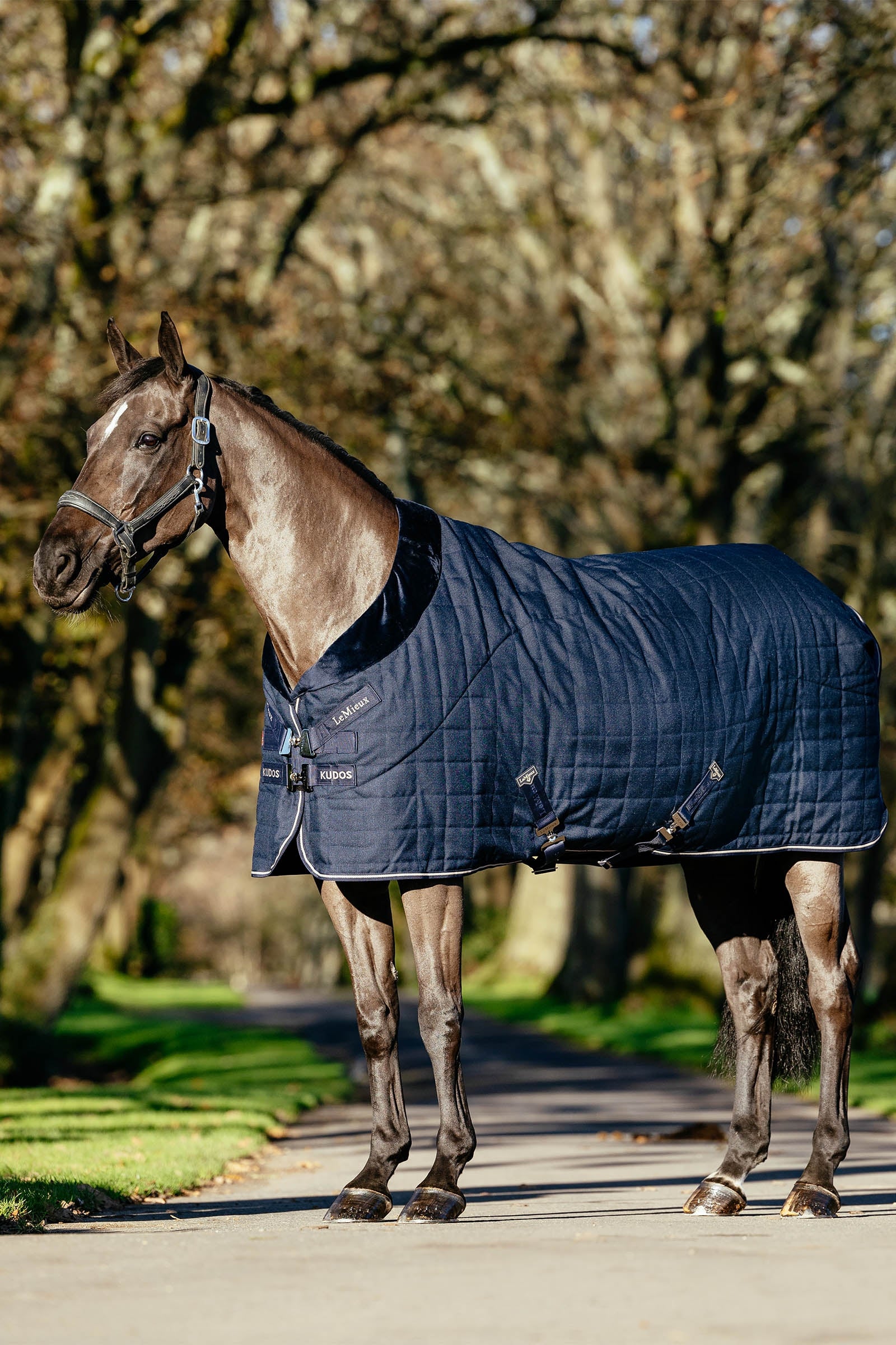 LeMieux Kudos Luxe gefütterte Stalldecke, 100 g Pferdedecken